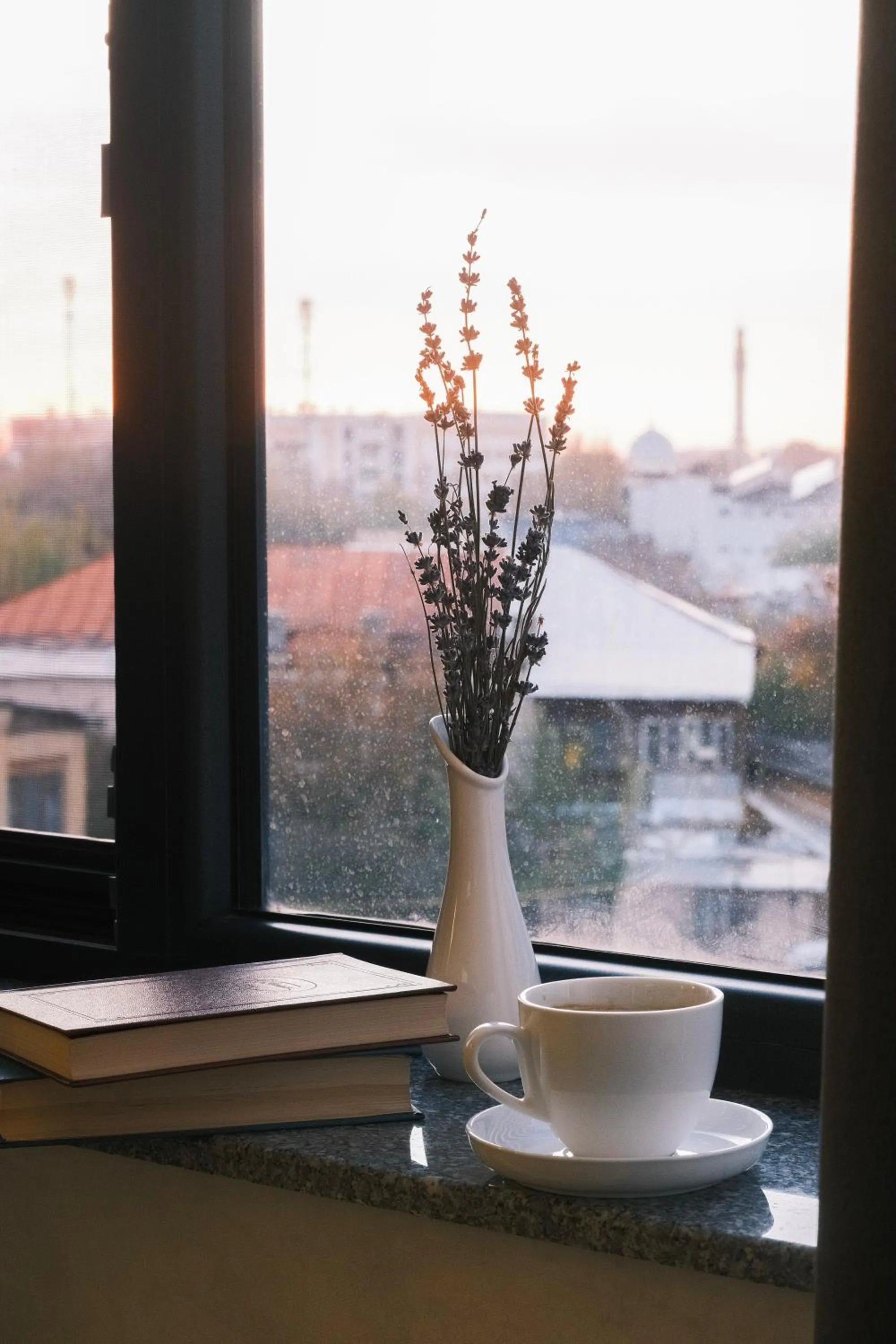 View (from property/room) in Parklane Hotel