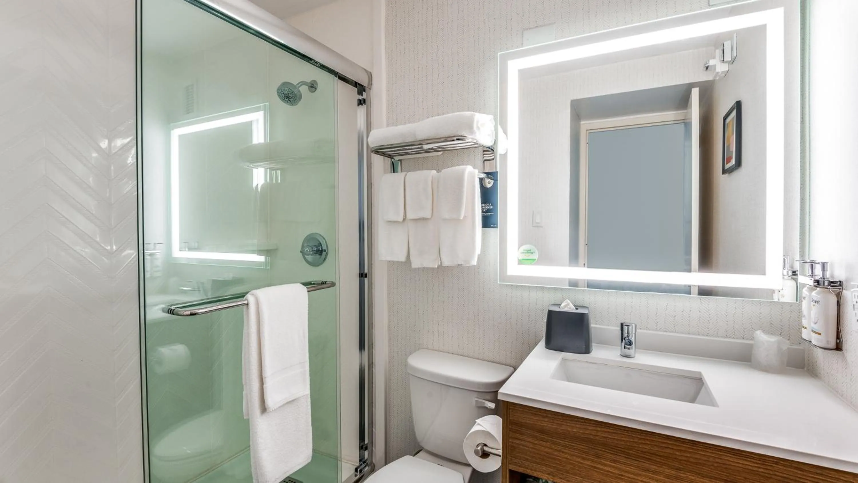 Bathroom in Holiday Inn Dallas Market Ctr Love Field by IHG