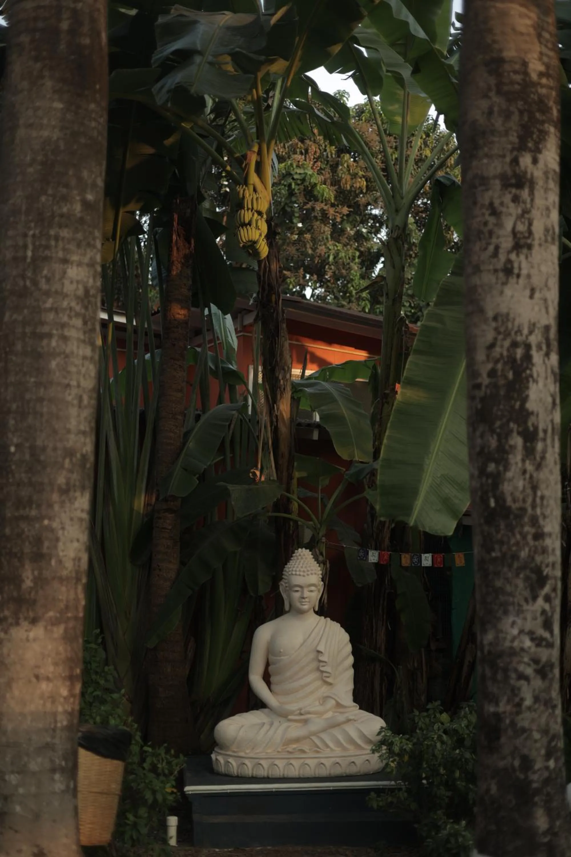 Nearby landmark in Sashas Holiday Village