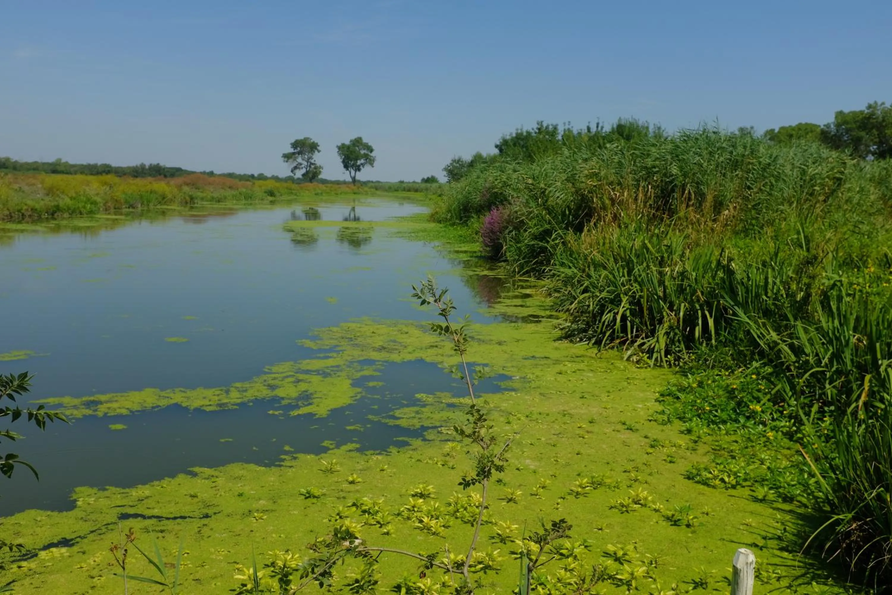 Nearby landmark in Le Mazet De Jean