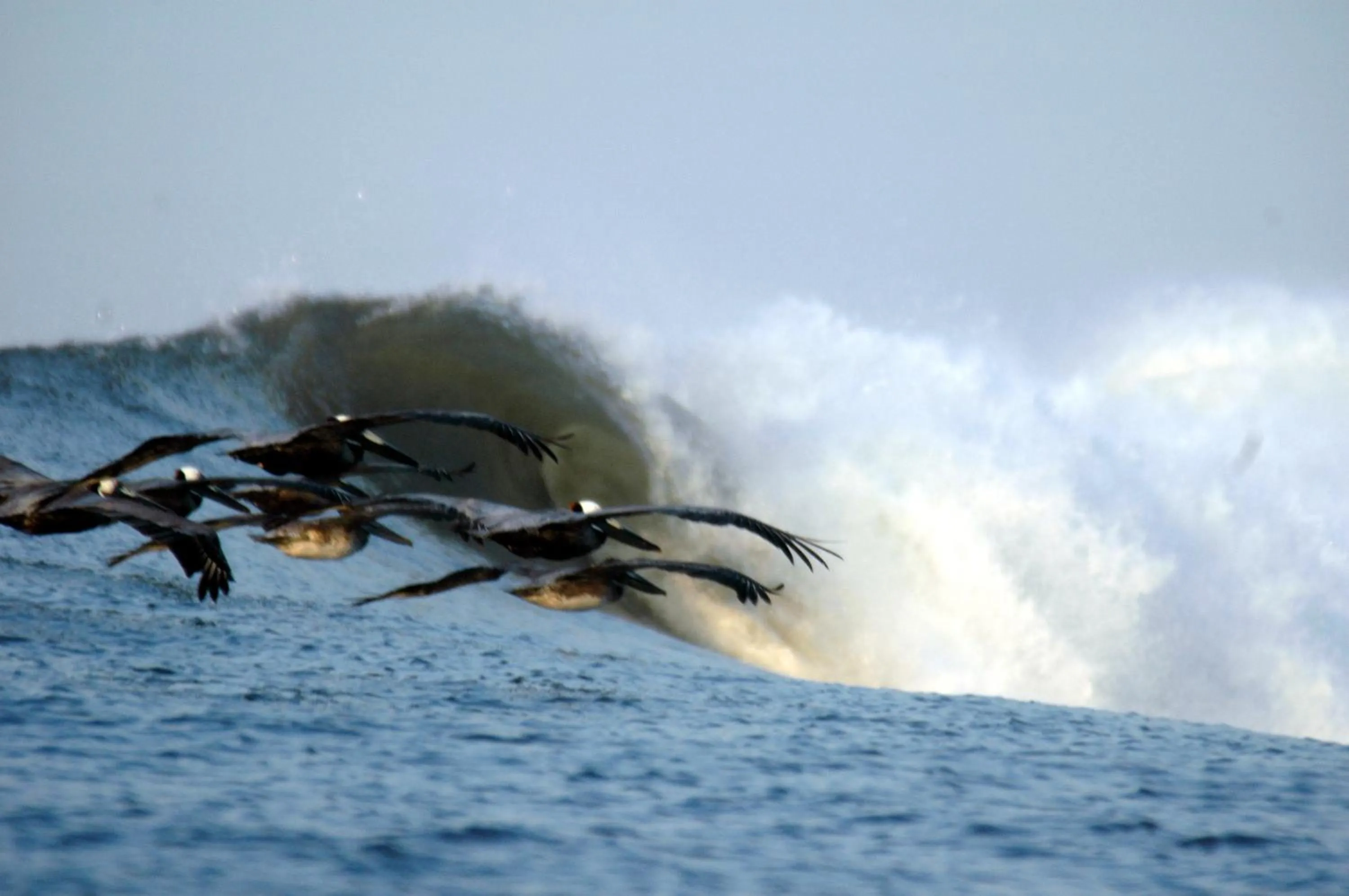 Sports in Hotel Los Mangos El Salvador