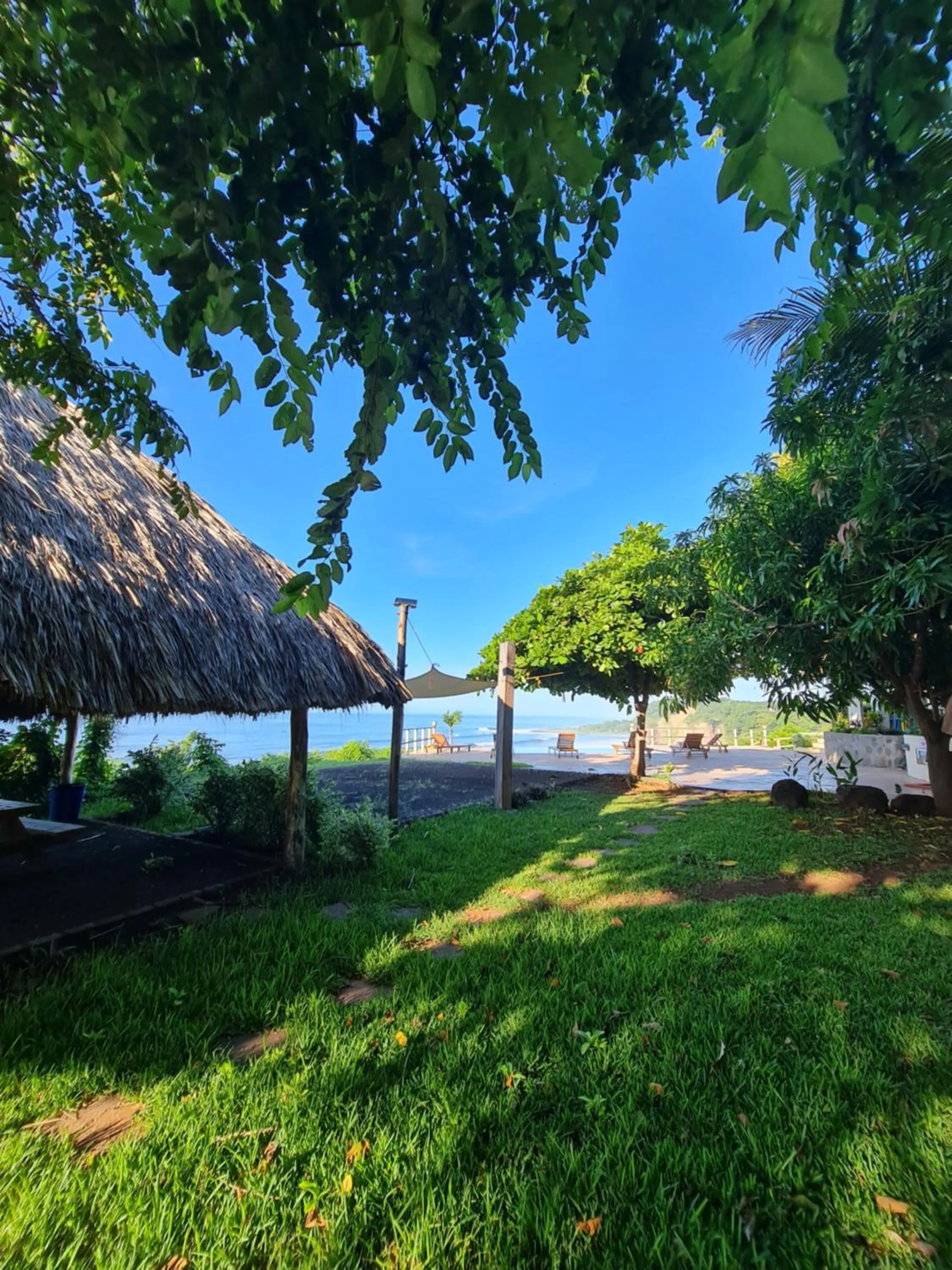 Garden in Hotel Los Mangos El Salvador