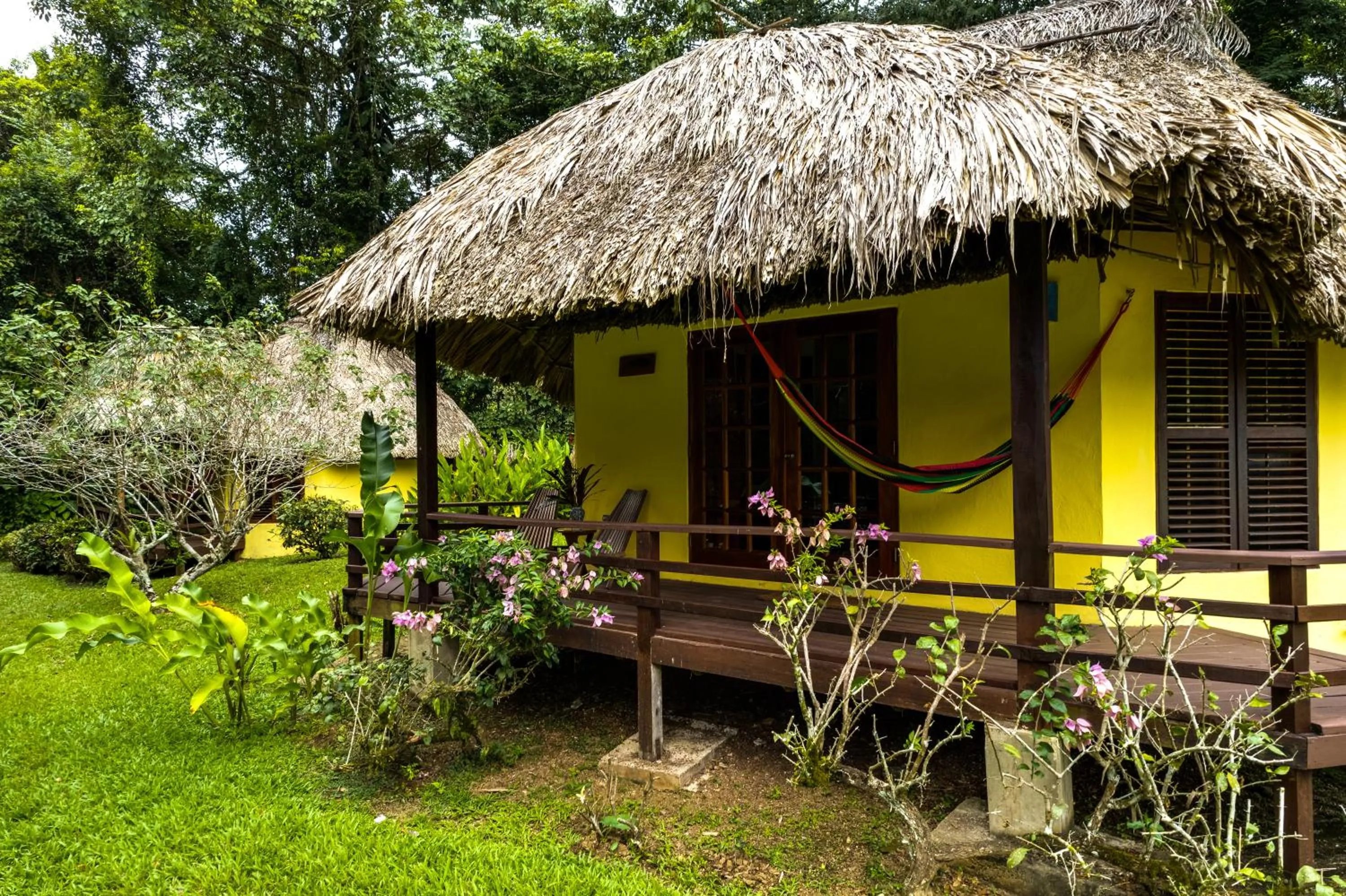 Tanager RainForest Lodge
