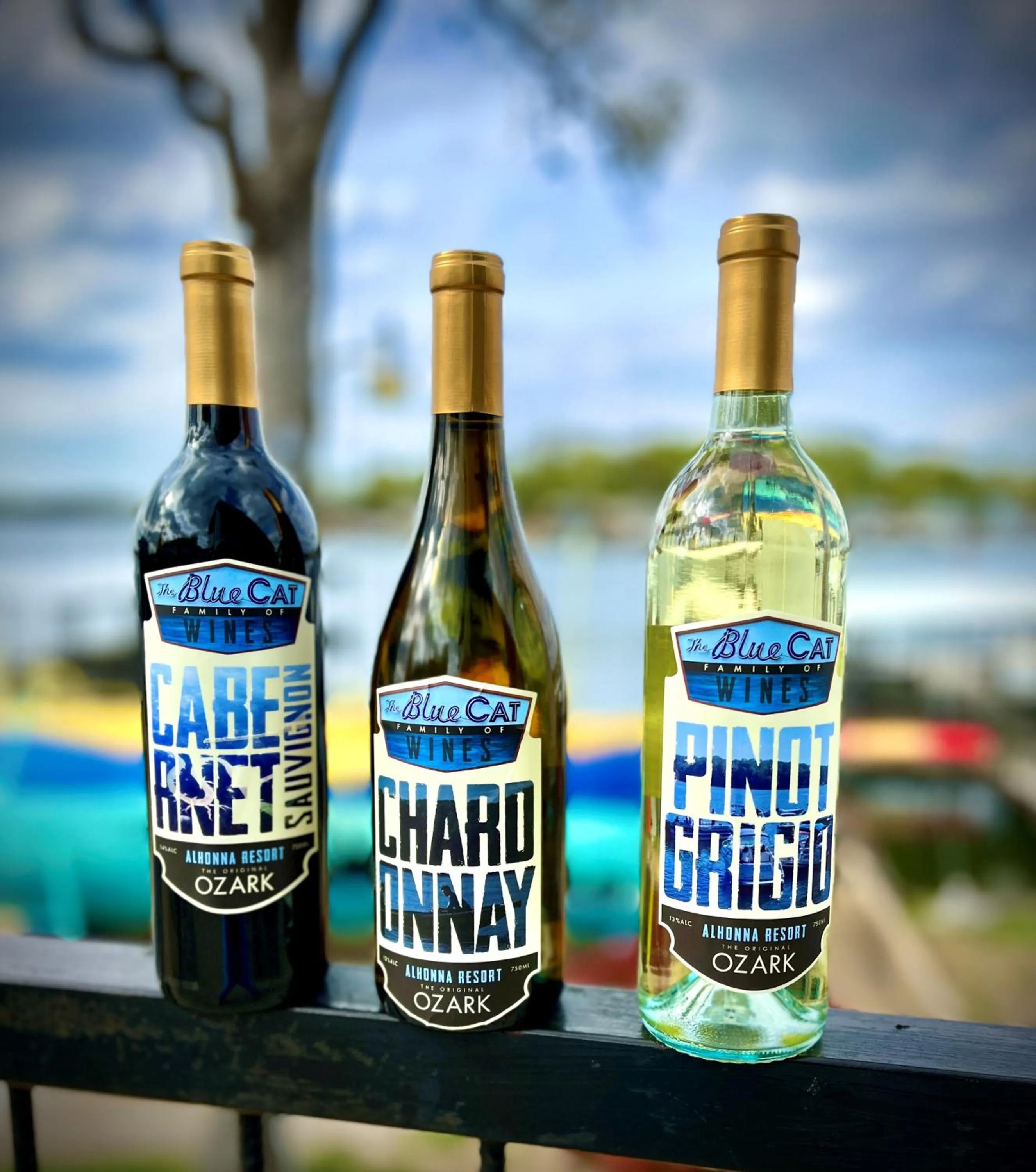 Lounge or bar in Alhonna Resort