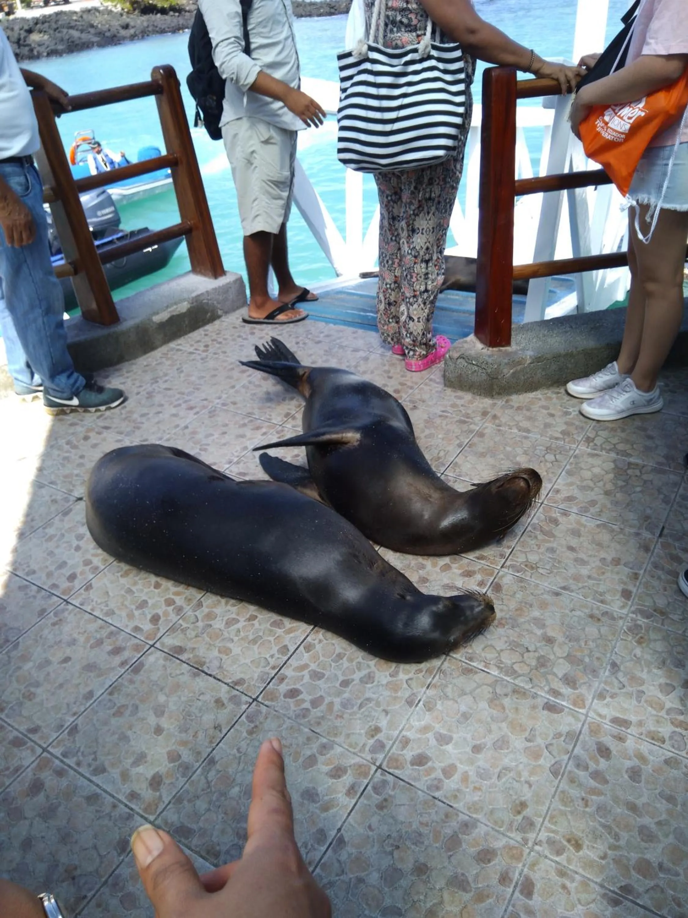 Nearby landmark in Suymar Ecolodge Galapagos