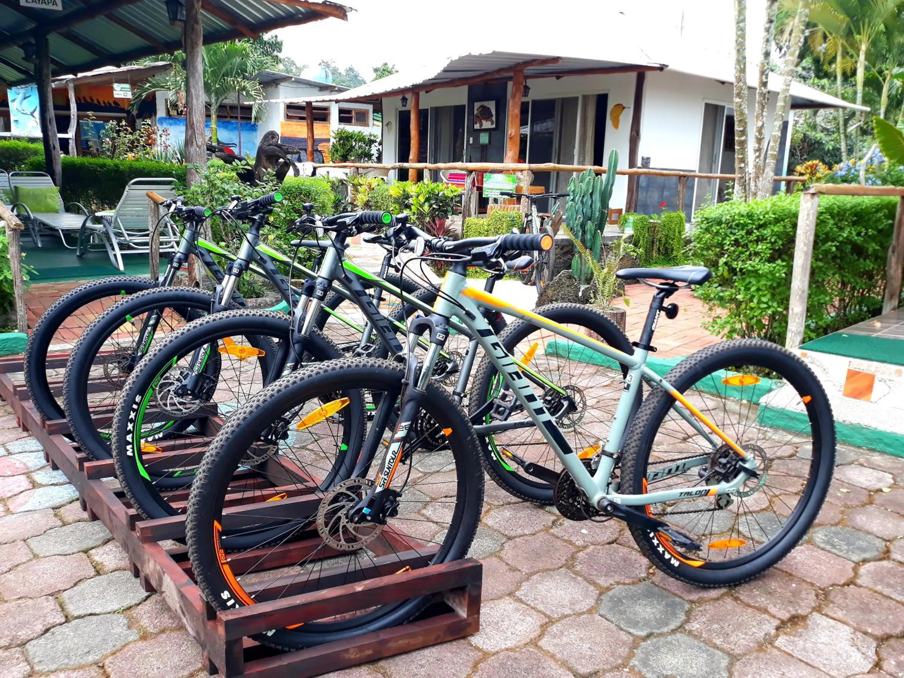 Activities in Suymar Ecolodge Galapagos