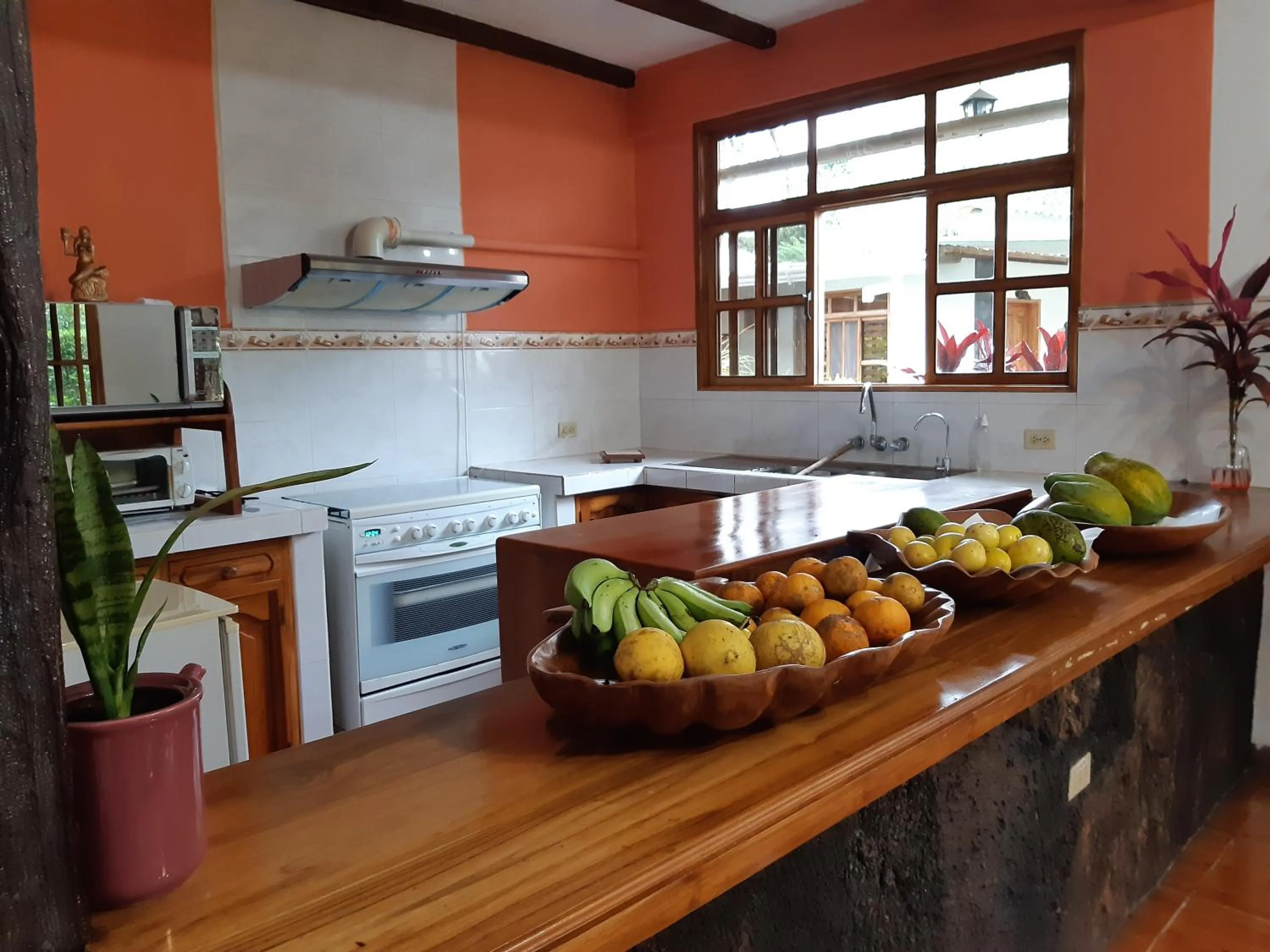 Kitchen or kitchenette in Suymar Ecolodge Galapagos