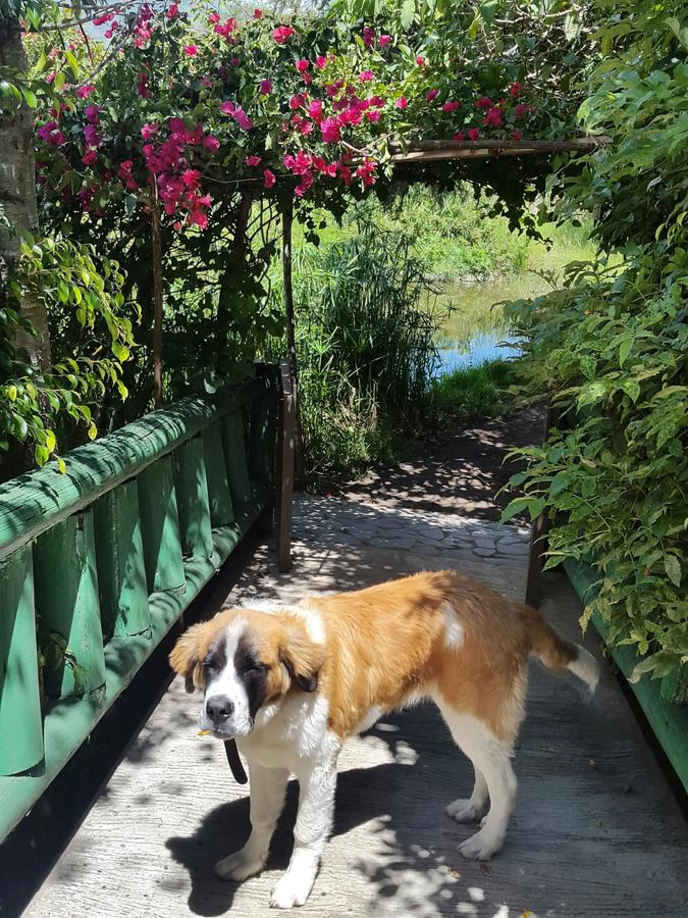 Day in Hostería Colibri Aeropuerto
