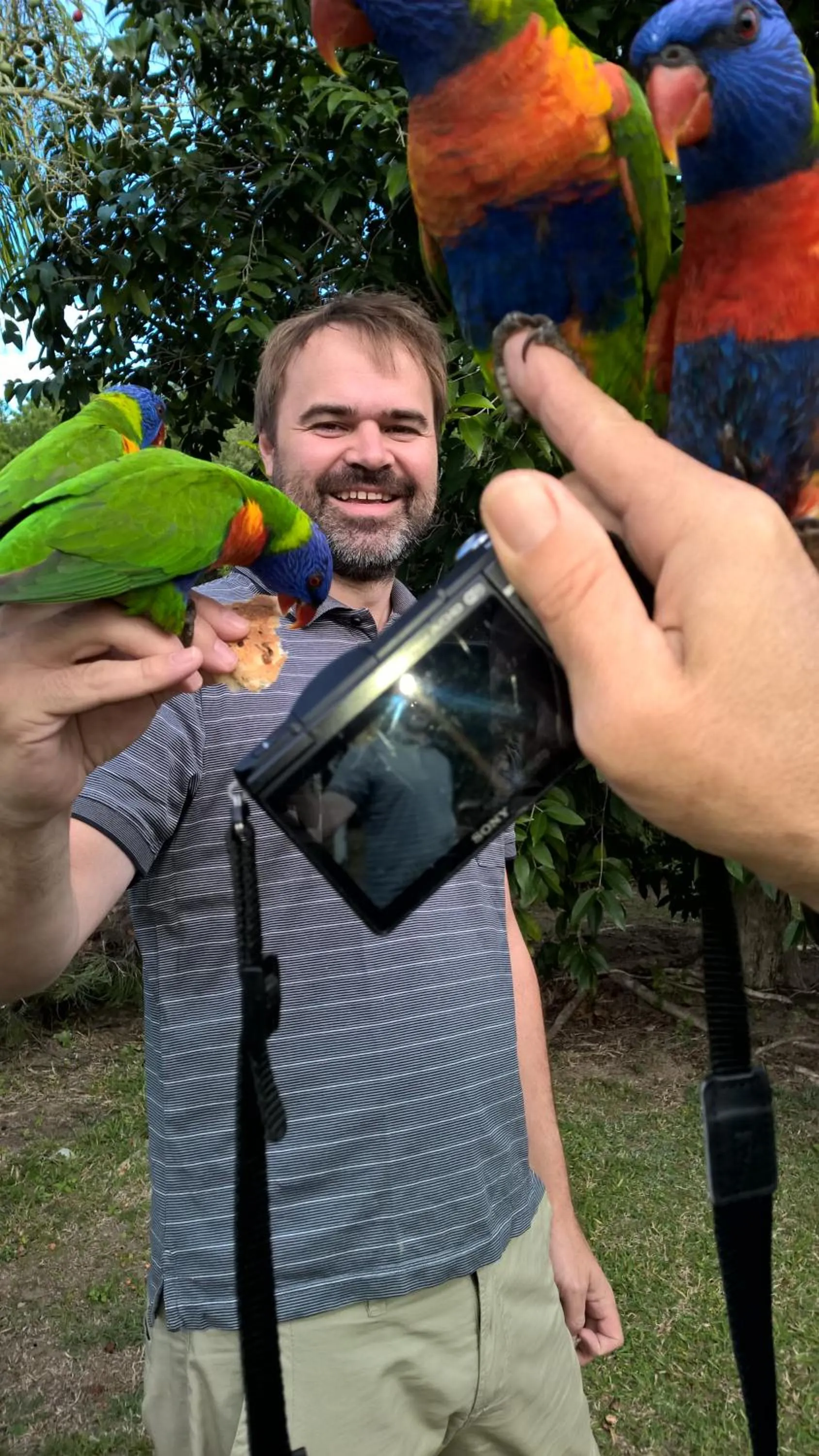 Garden in Magnetic Island Bed and Breakfast