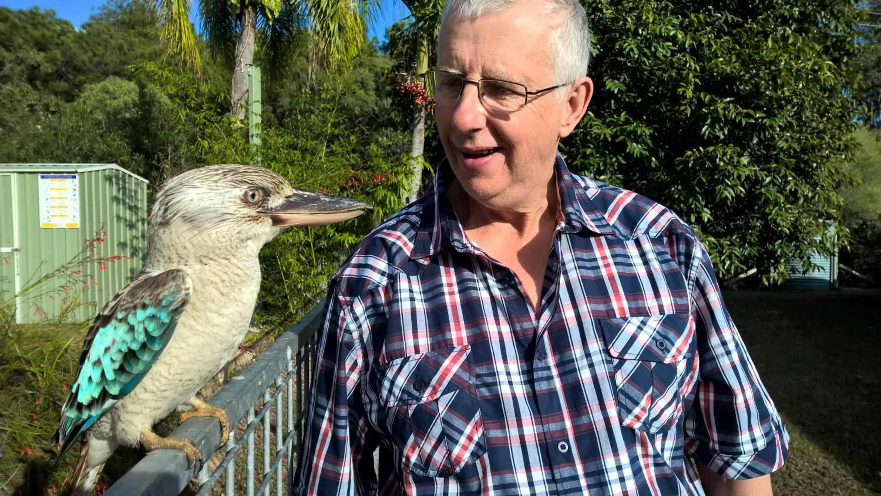 Bird's eye view in Magnetic Island Bed and Breakfast