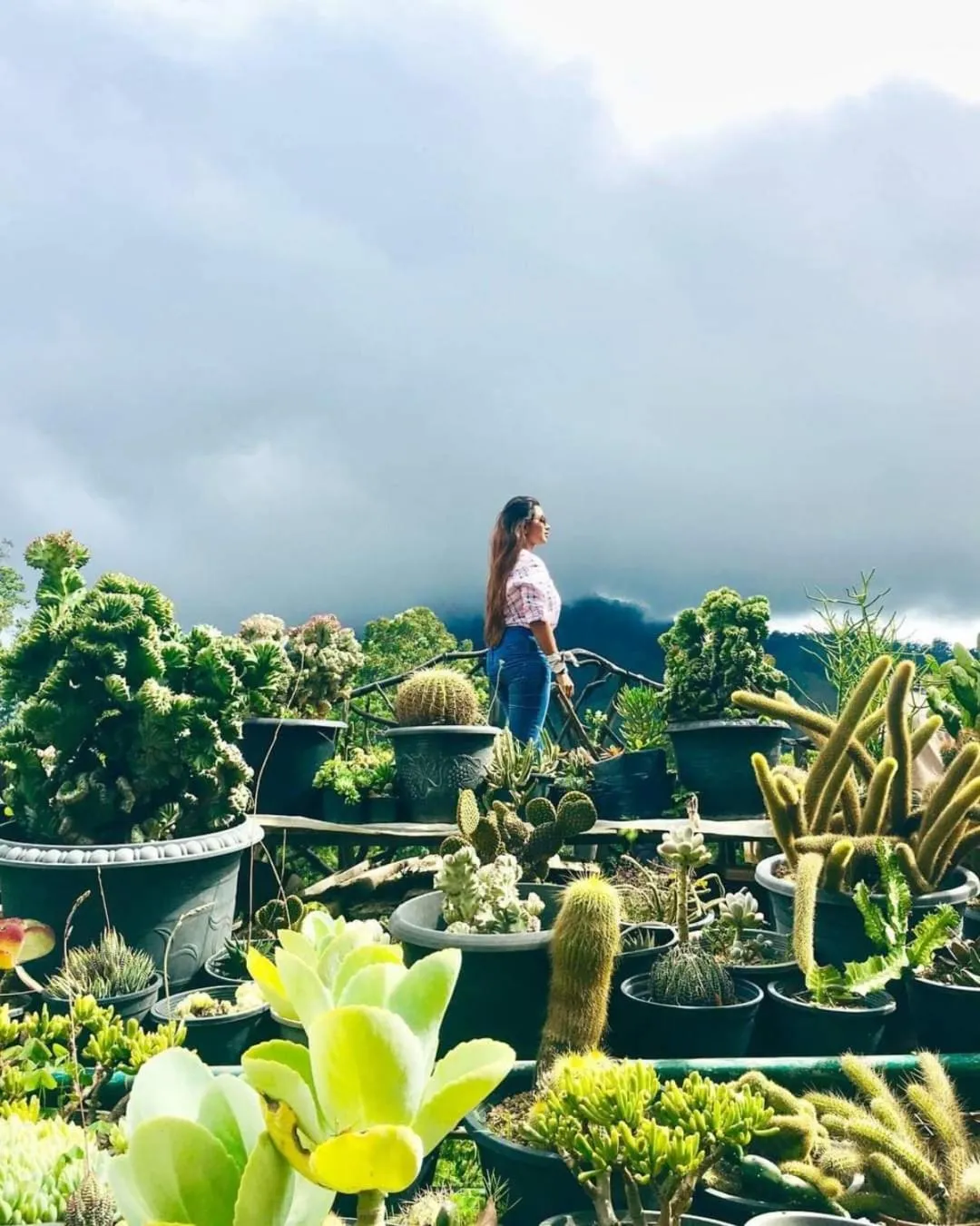 Ella Flower Garden Resort