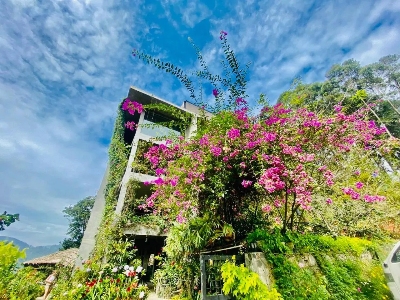 Ella Flower Garden Resort