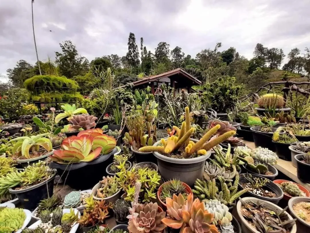 Ella Flower Garden Resort