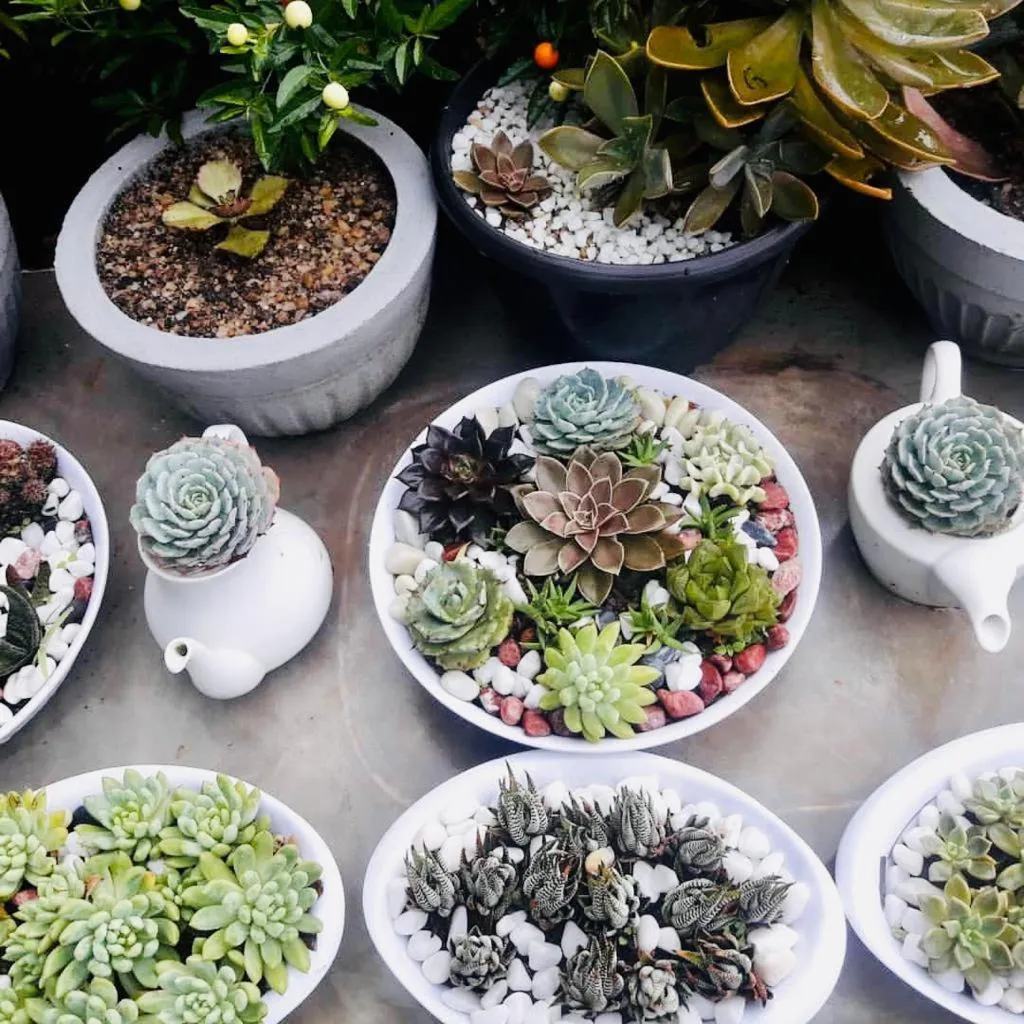 Ella Flower Garden Resort