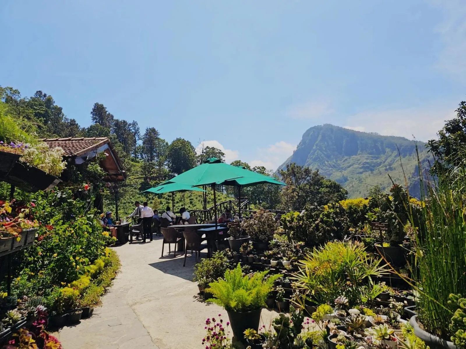 Ella Flower Garden Resort