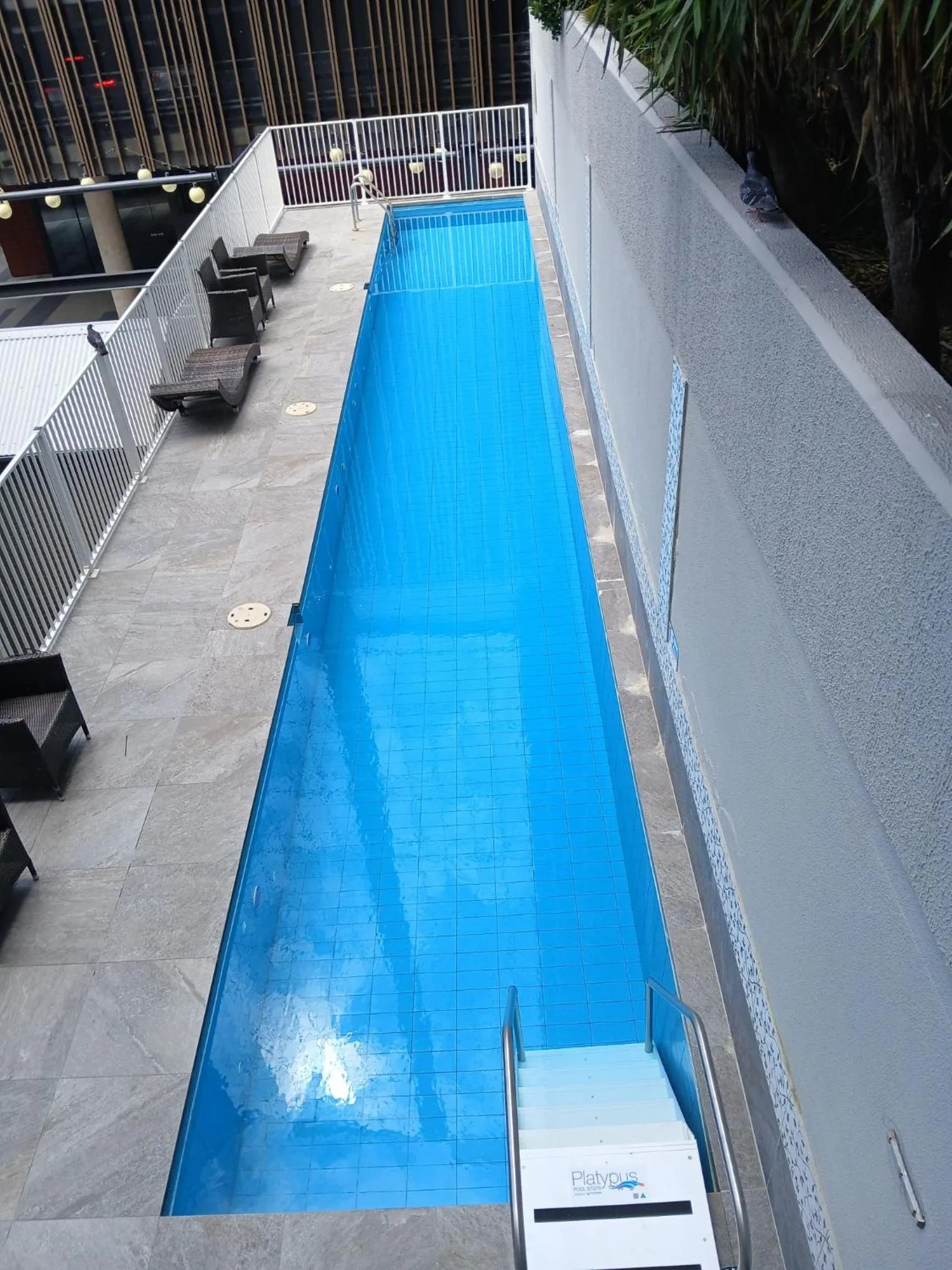 Pool view in Newcastle Central Plaza Apartment Hotel Official