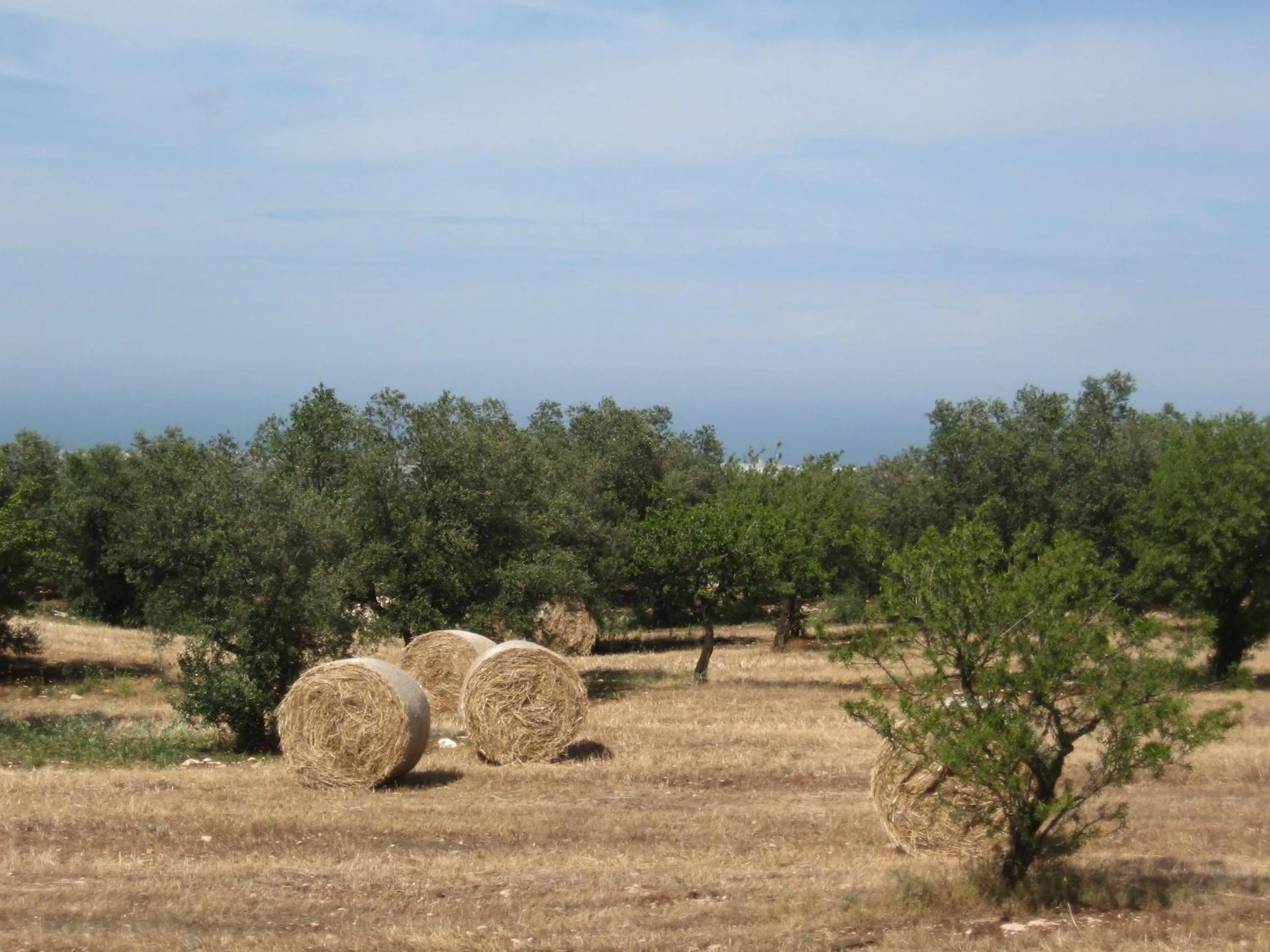 City view in B&b Cinque Stalle