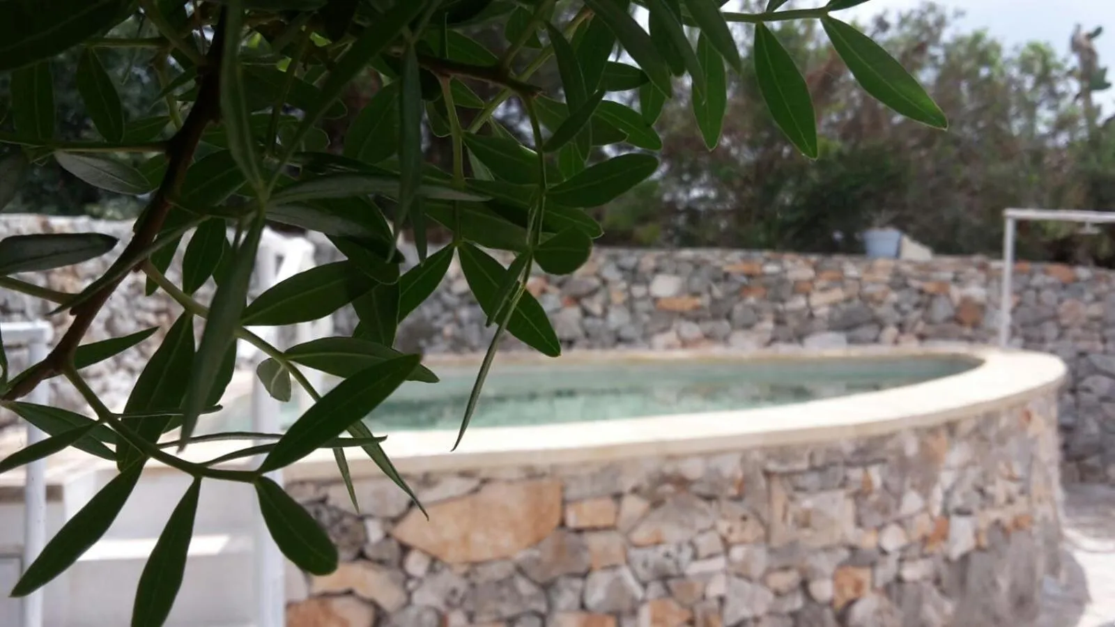 Pool view in B&b Cinque Stalle