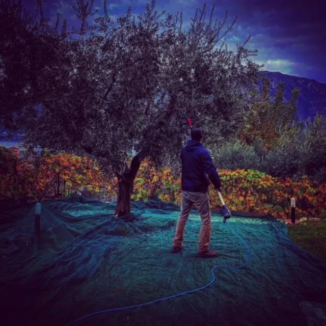 Charming Bellagio Boutique Hotel