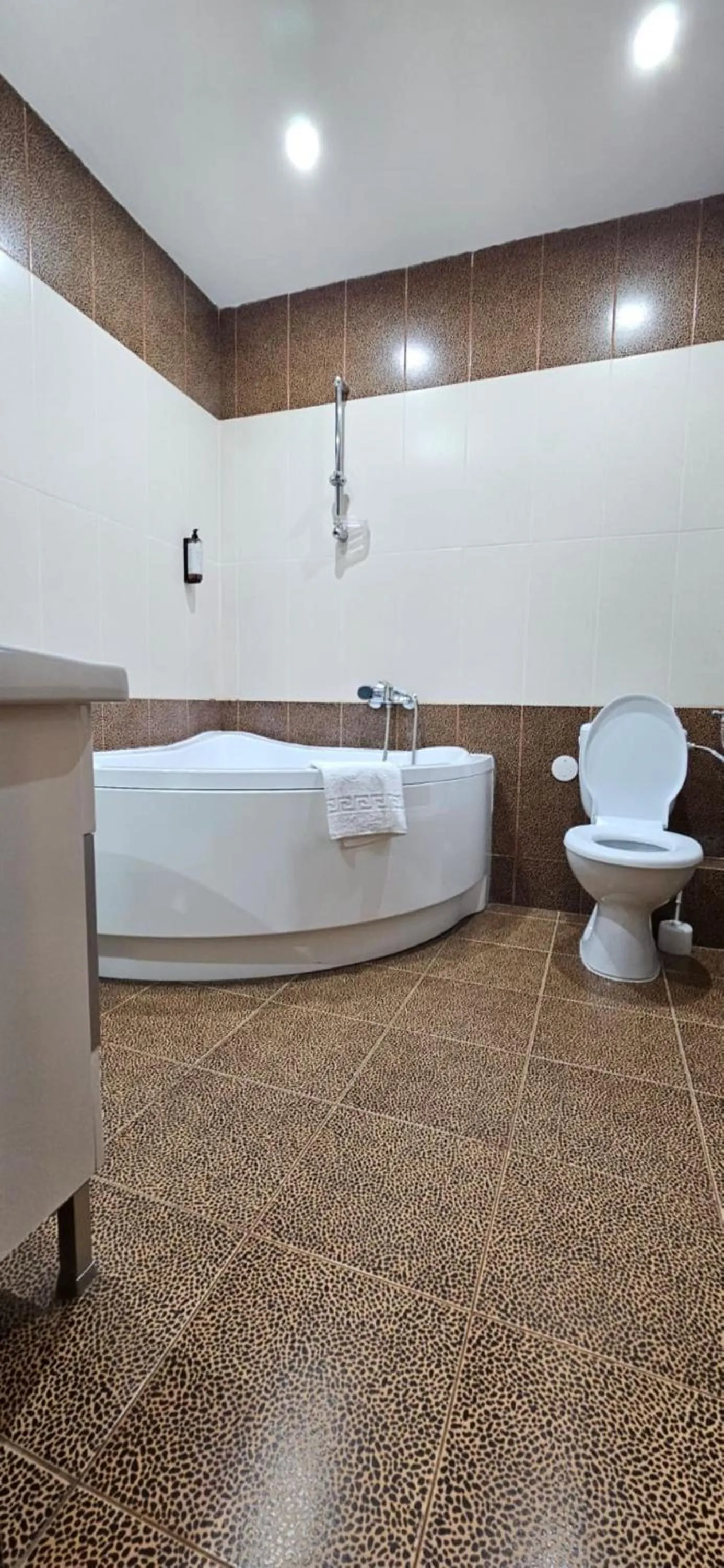 Toilet in Hotel Bran Stoker