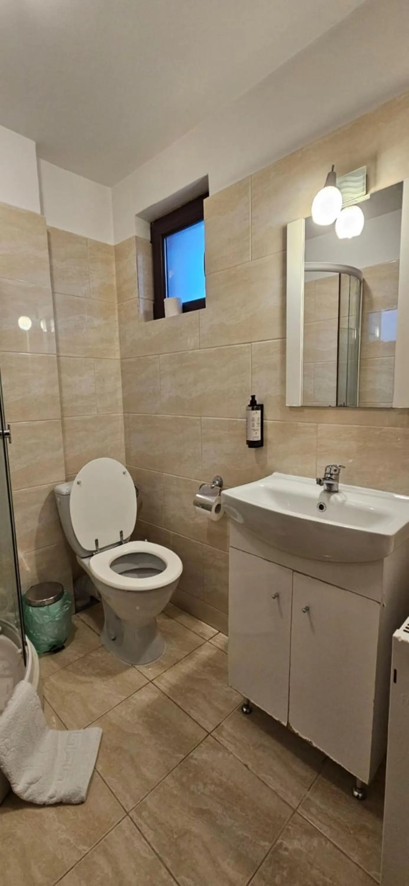 Toilet in Hotel Bran Stoker