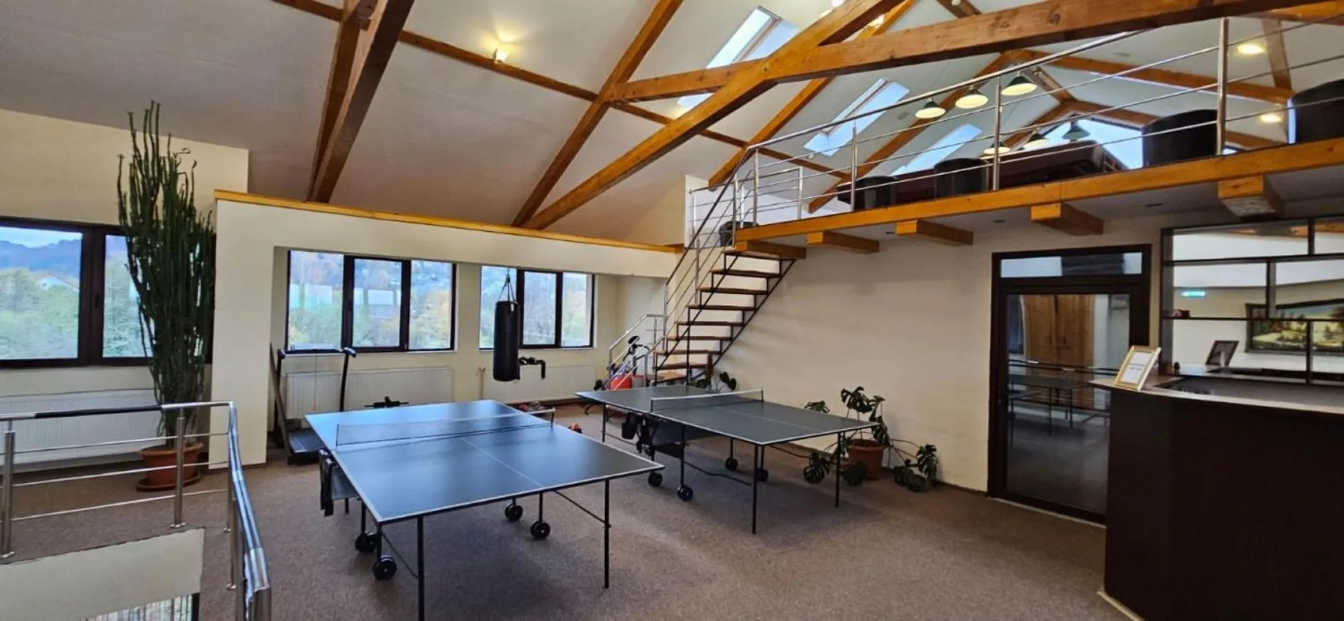 Table tennis in Hotel Bran Stoker