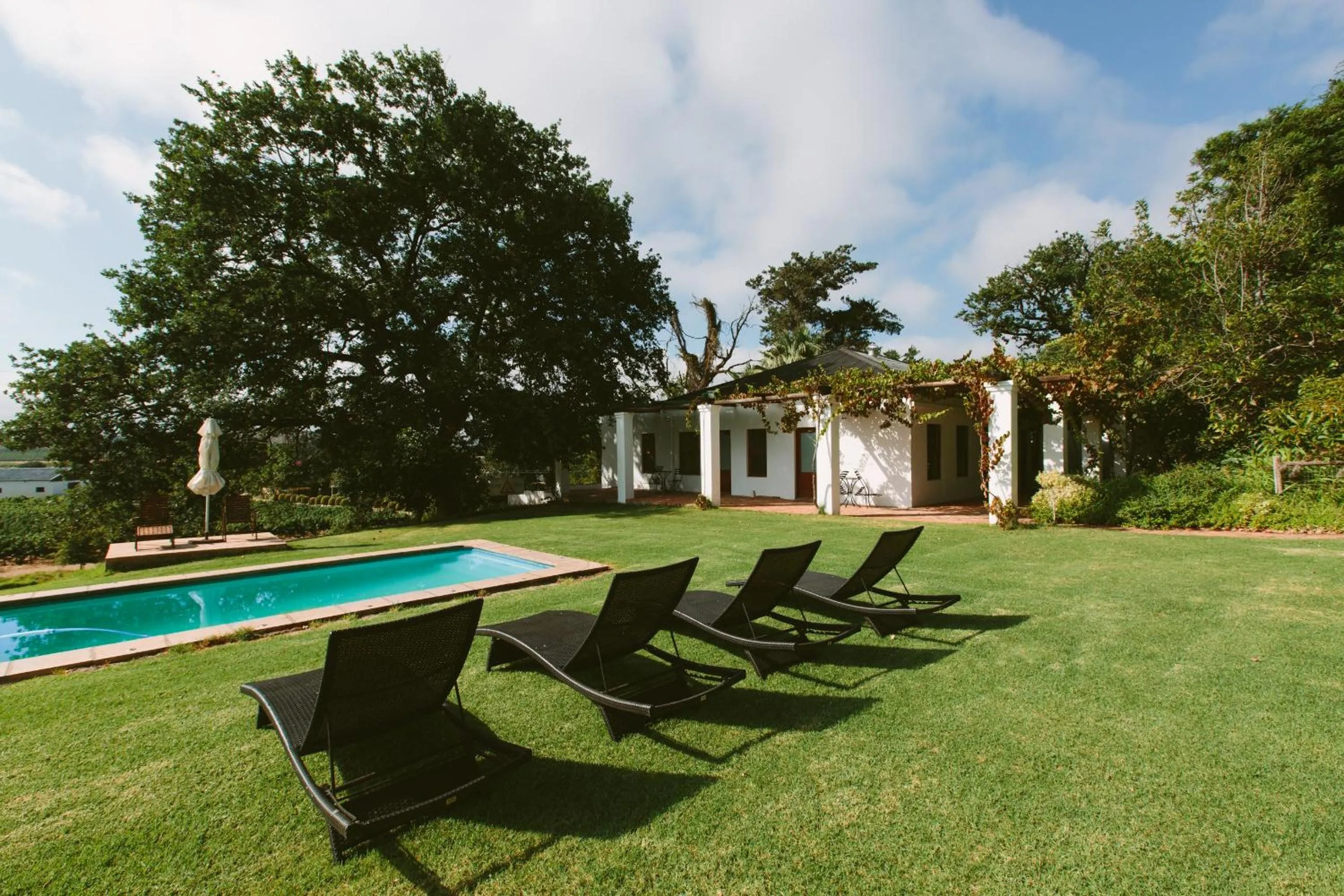 Swimming pool in Leipzig Country House & Winery