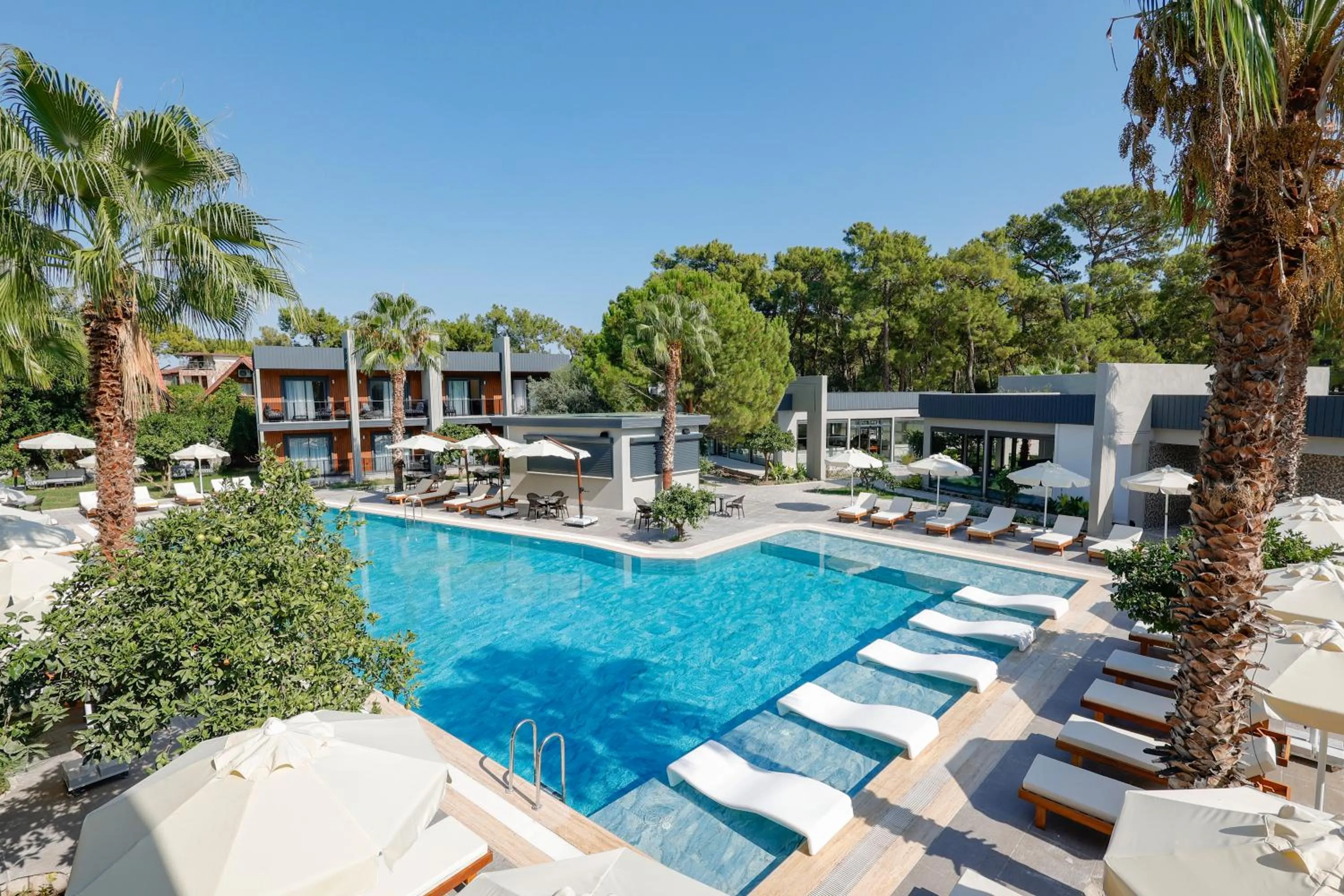 Property building in Forest In Hotel