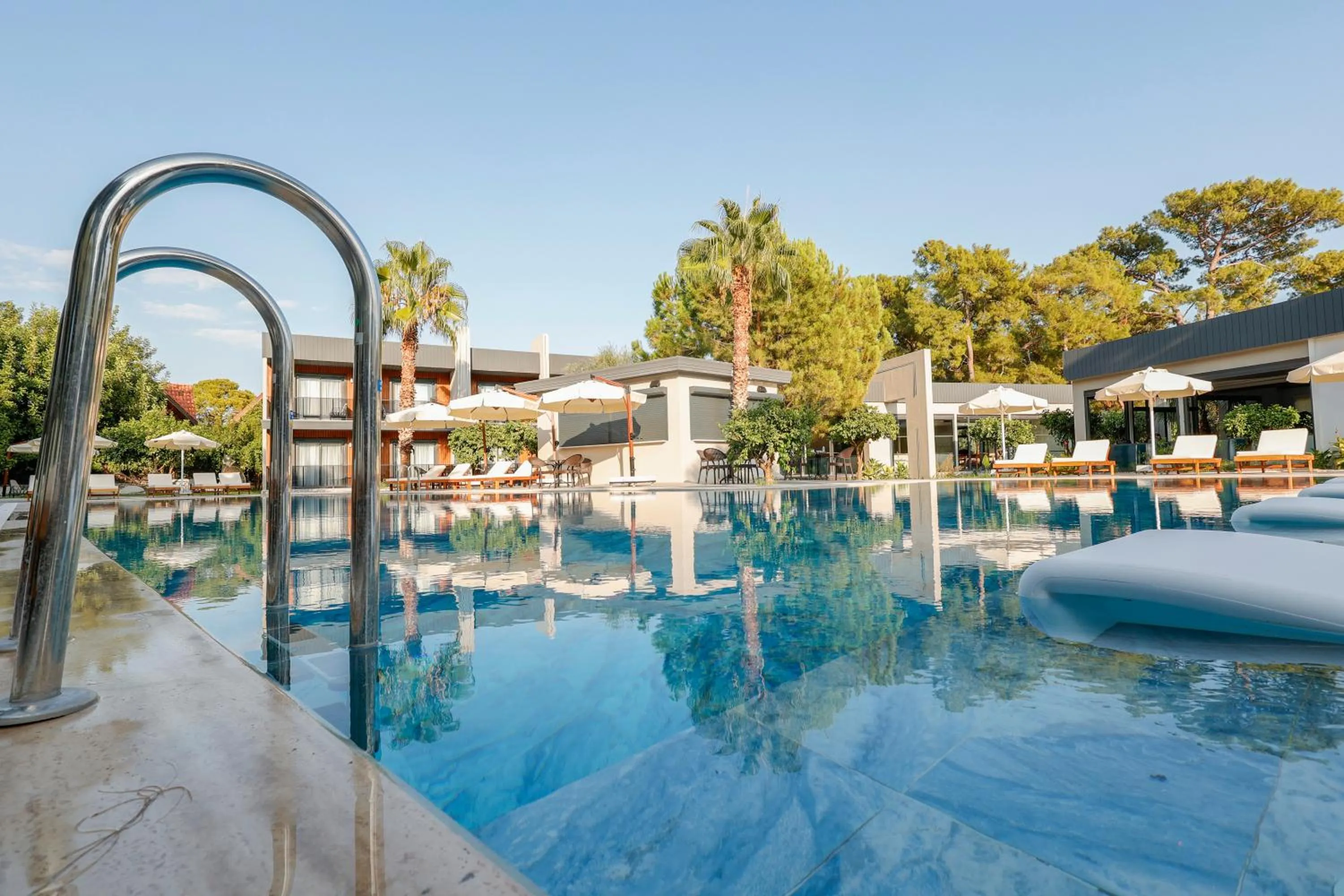 Day in Forest In Hotel