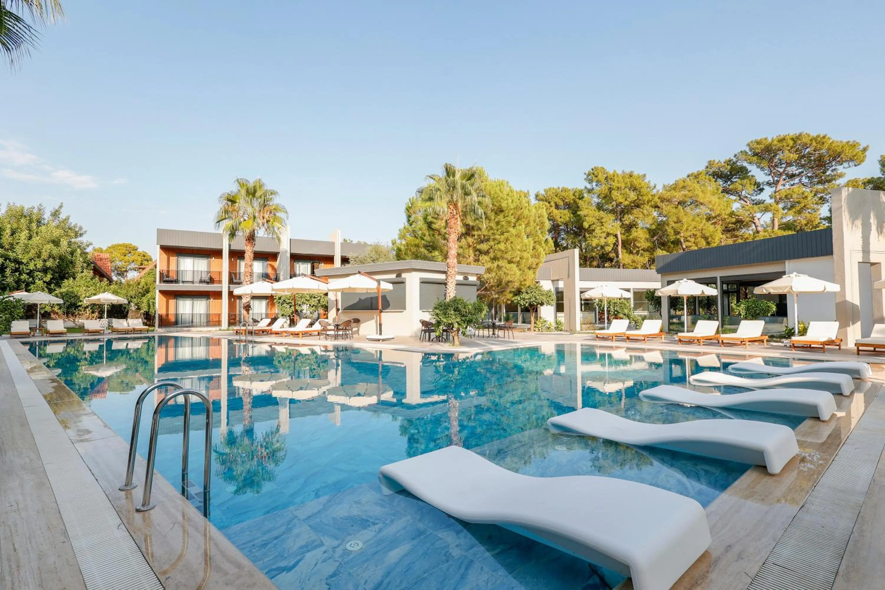 Day in Forest In Hotel