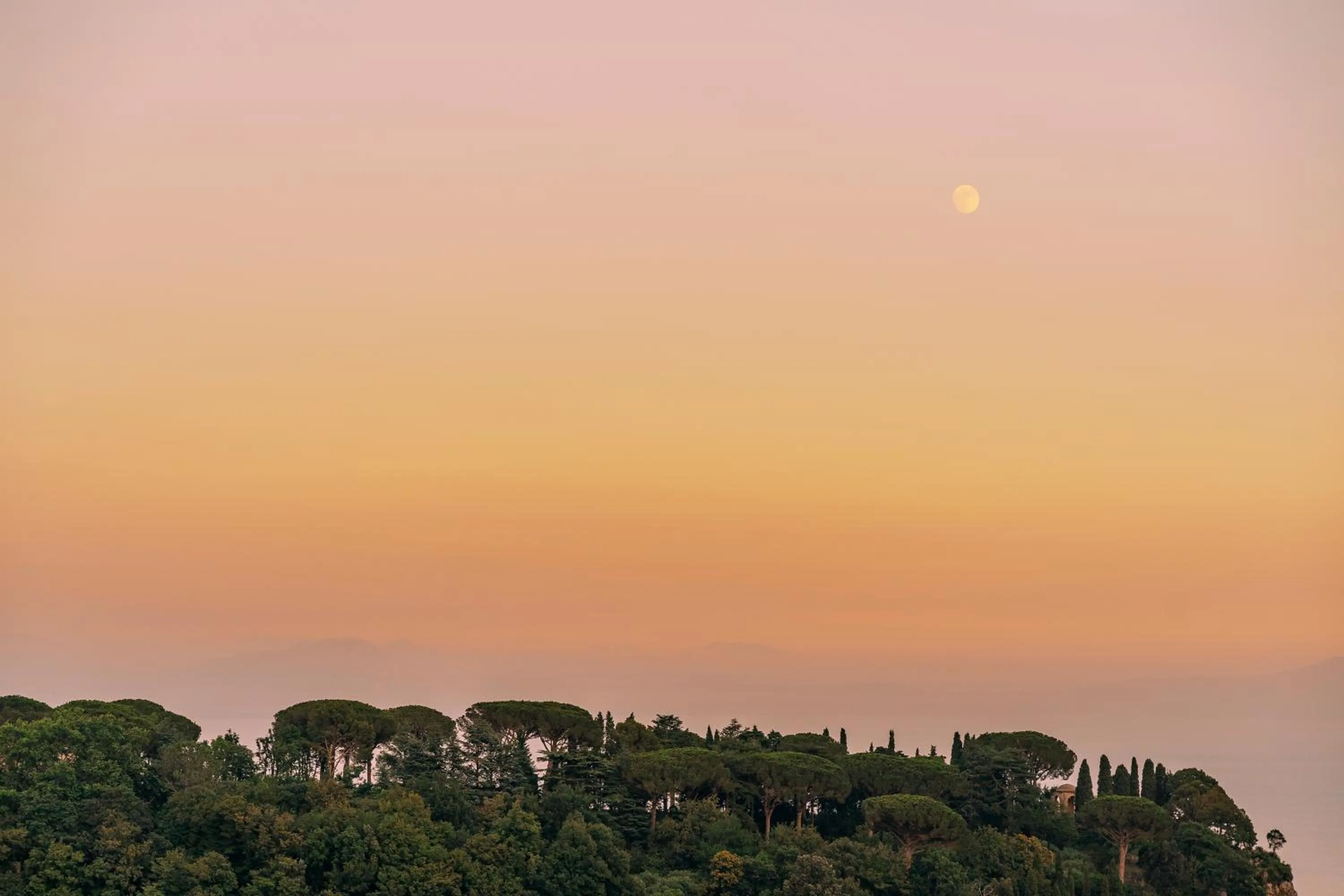 Natural landscape in Palazzo Pascal