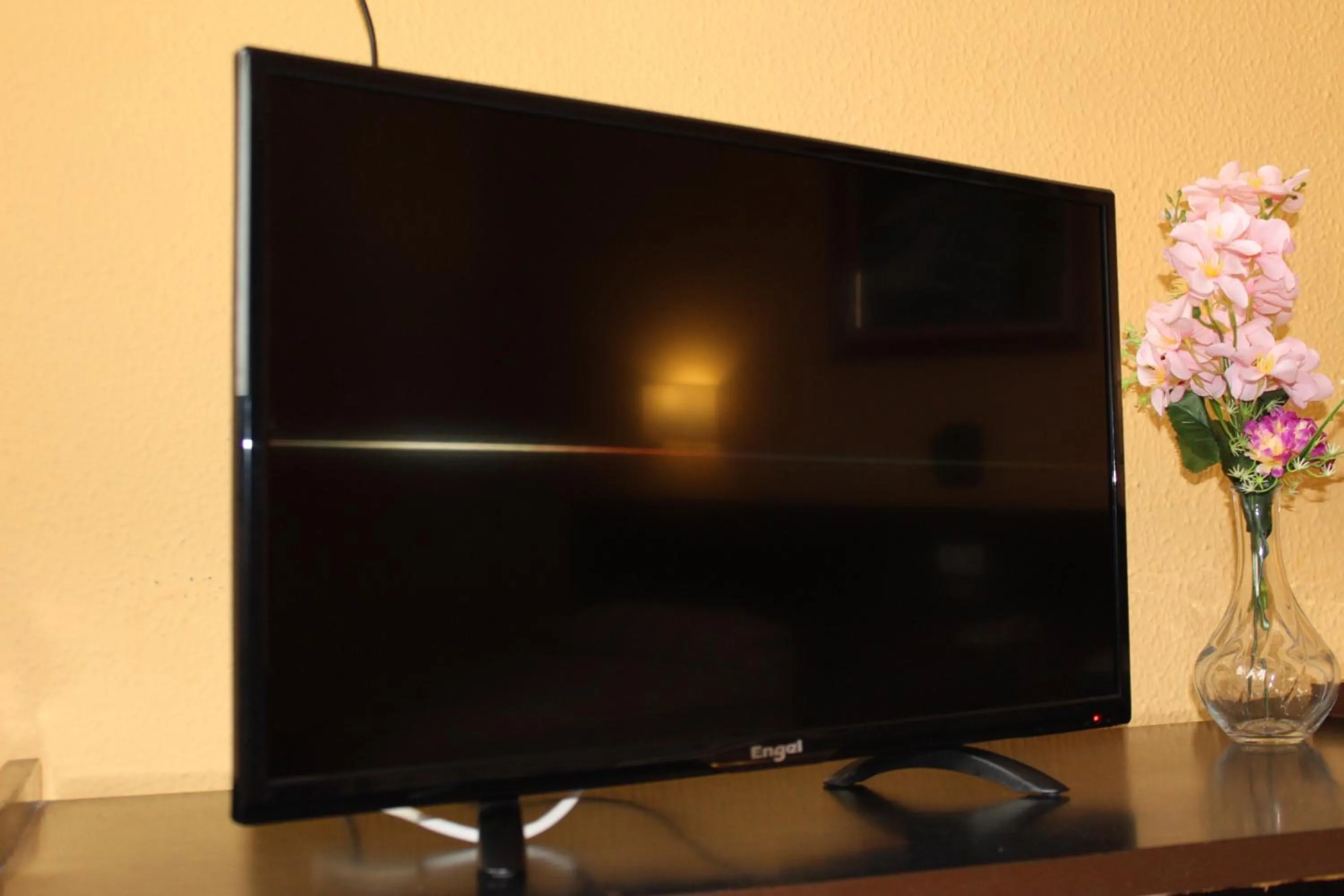 TV and multimedia in Hotel Olympia