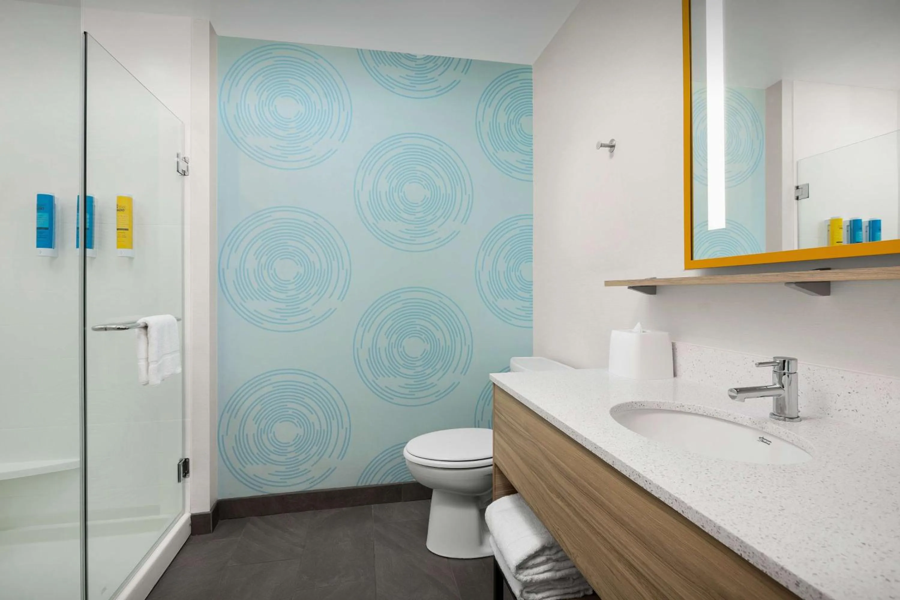 Bathroom in Tru by Hilton Jacksonville West I 295