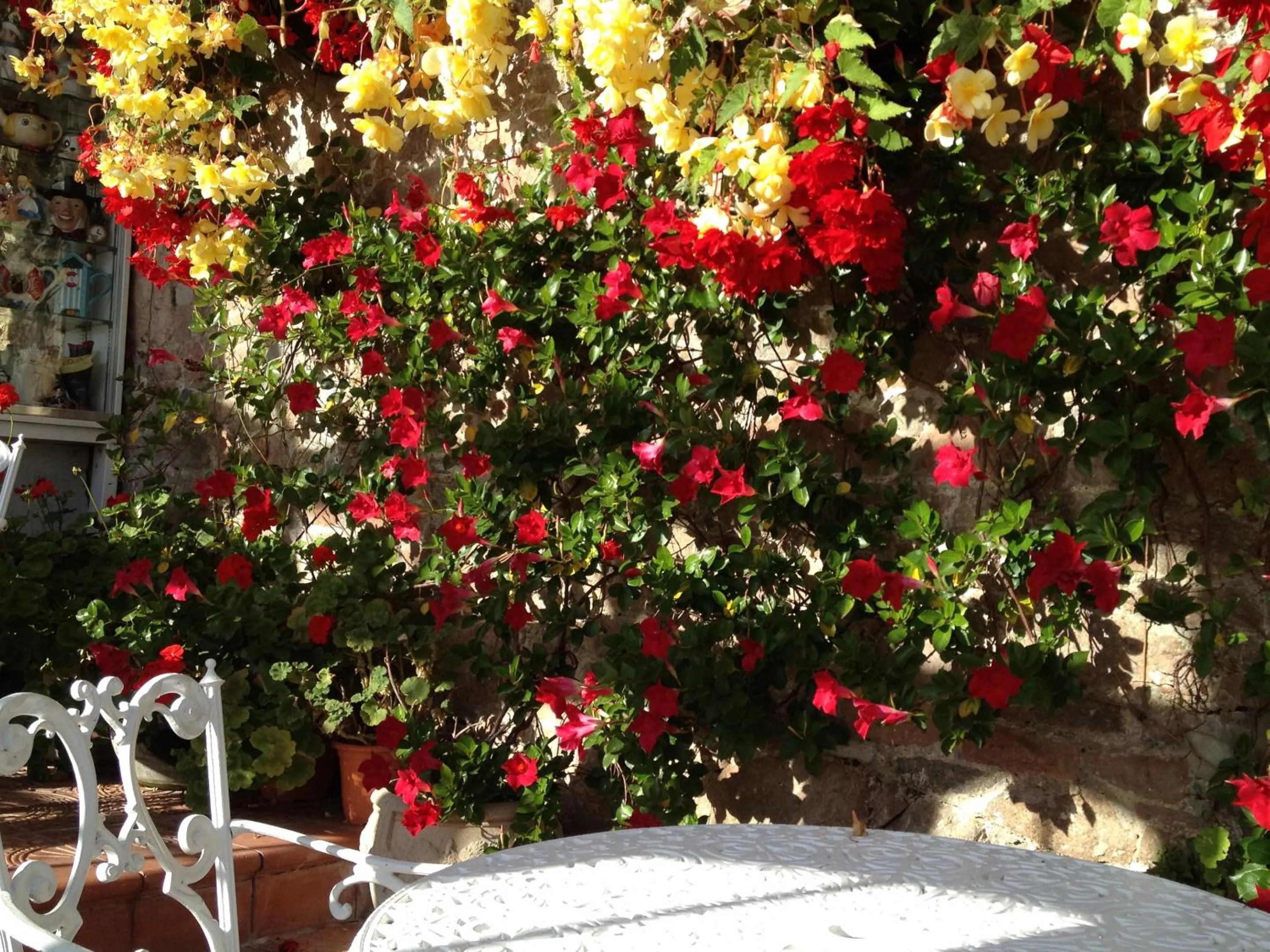 Other in The Panorama