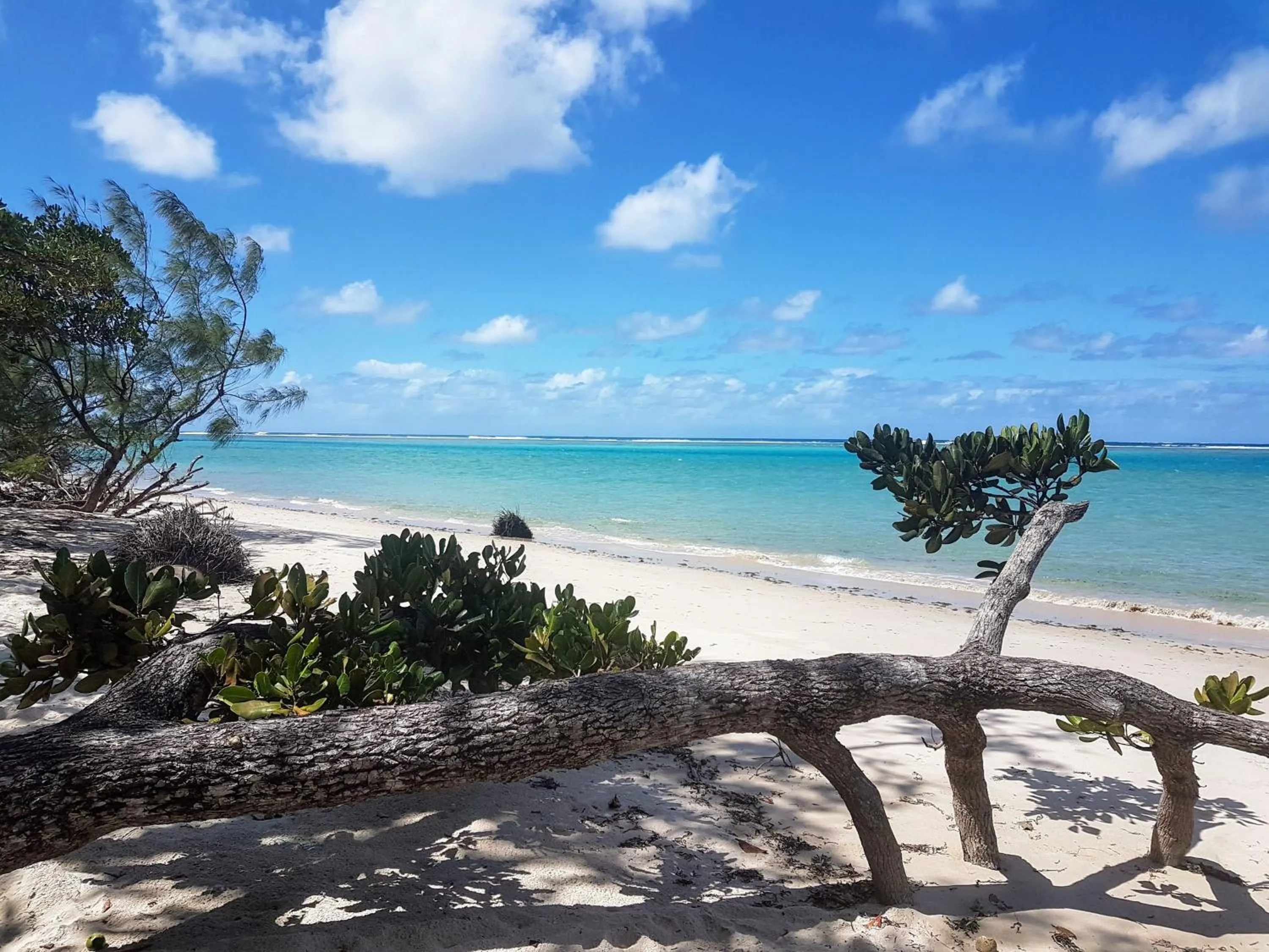 Natural landscape in Hotel Ecolodge Riake Resort & Villa