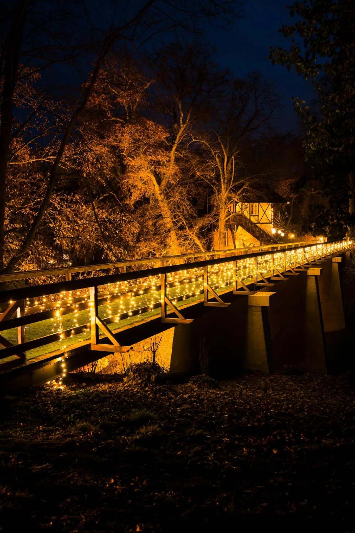 Chateau Loucen Garden Retreat