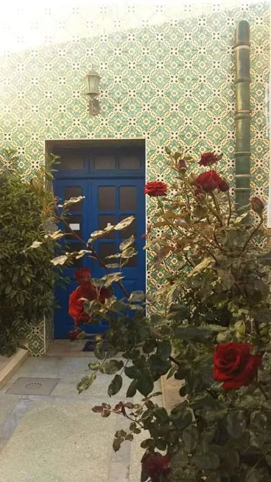 Garden view in Dar El Goulli