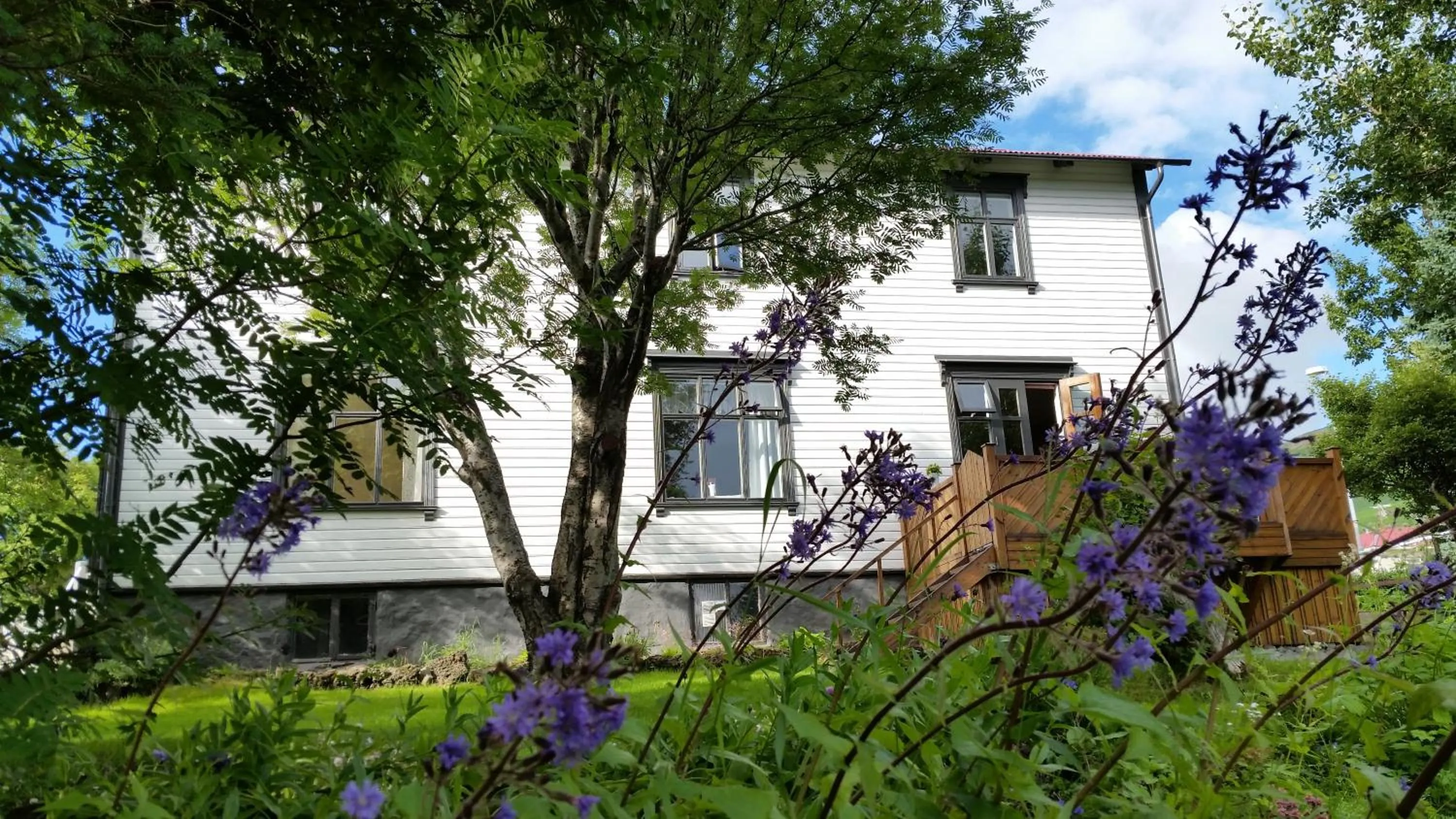 Garden in Árból Guesthouse