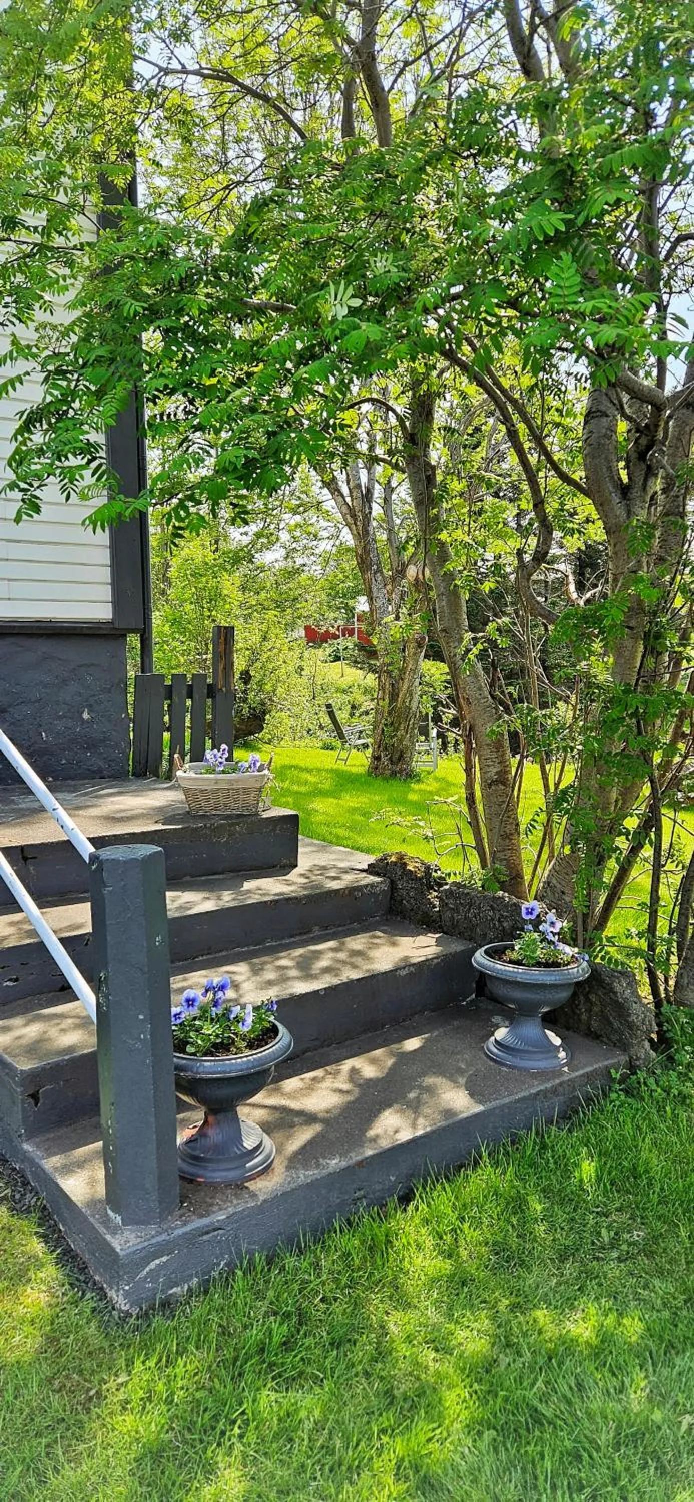 Facade/entrance in Árból Guesthouse