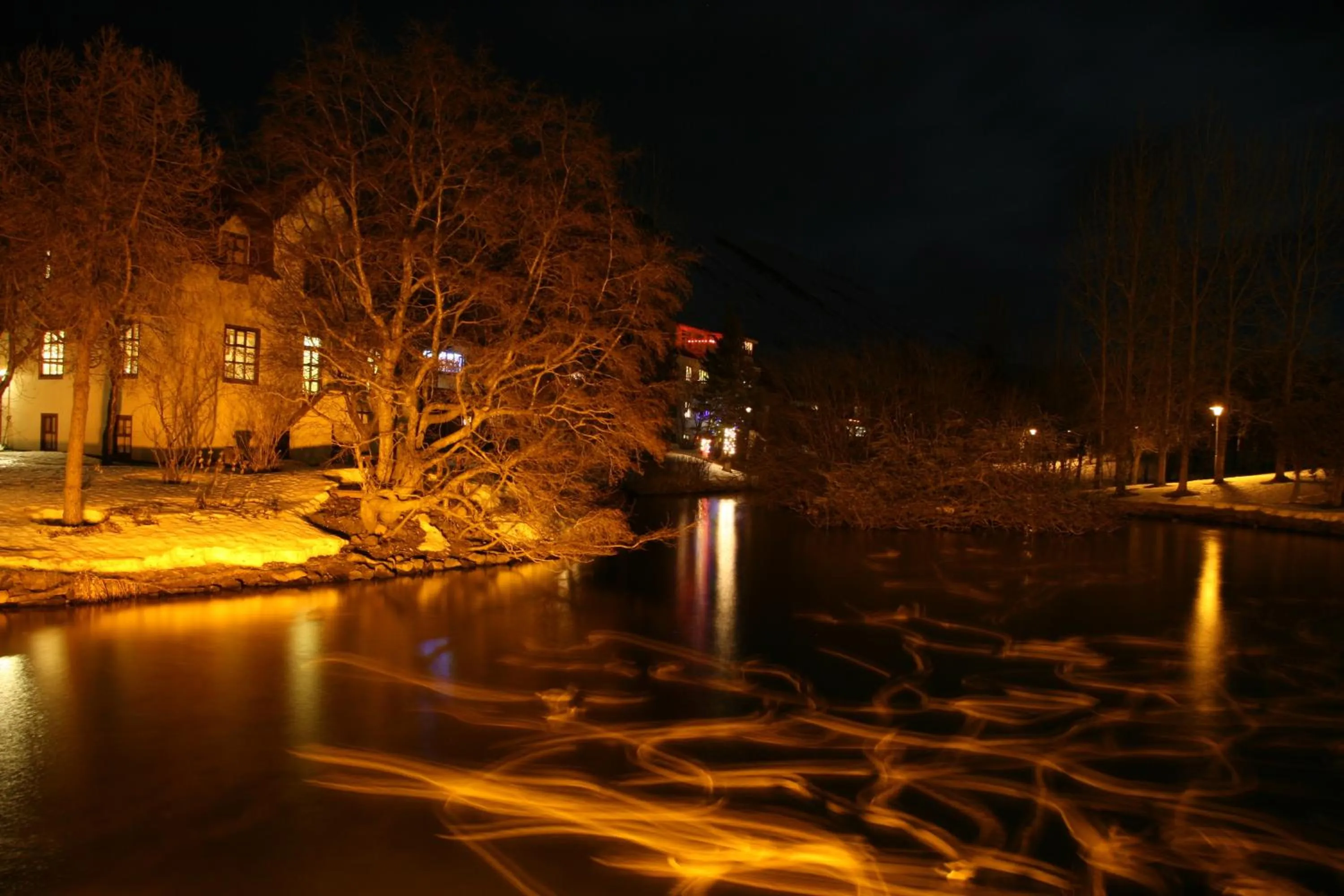 Garden in Árból Guesthouse