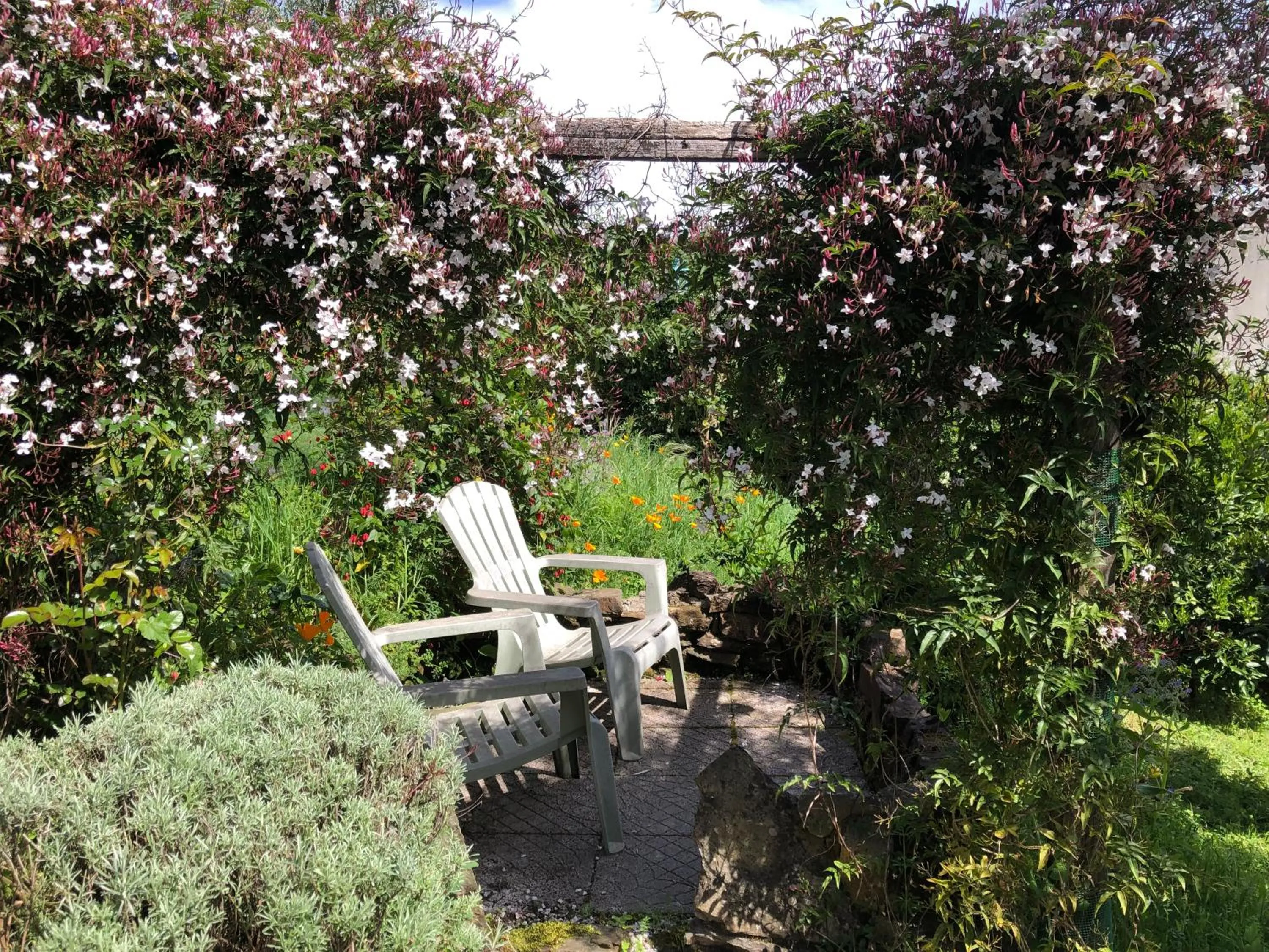 Garden in House Of The Three Marias