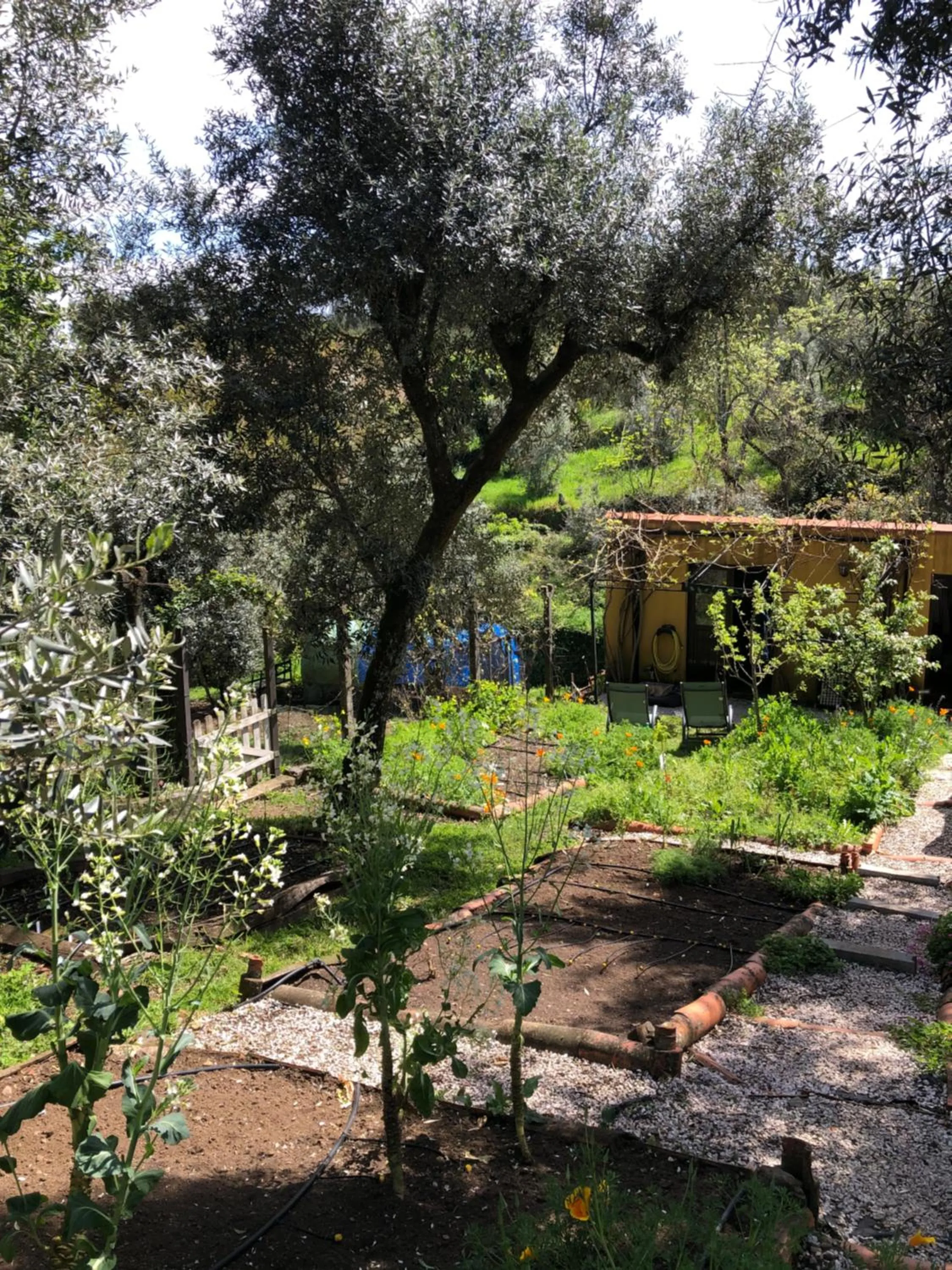 Garden in House Of The Three Marias