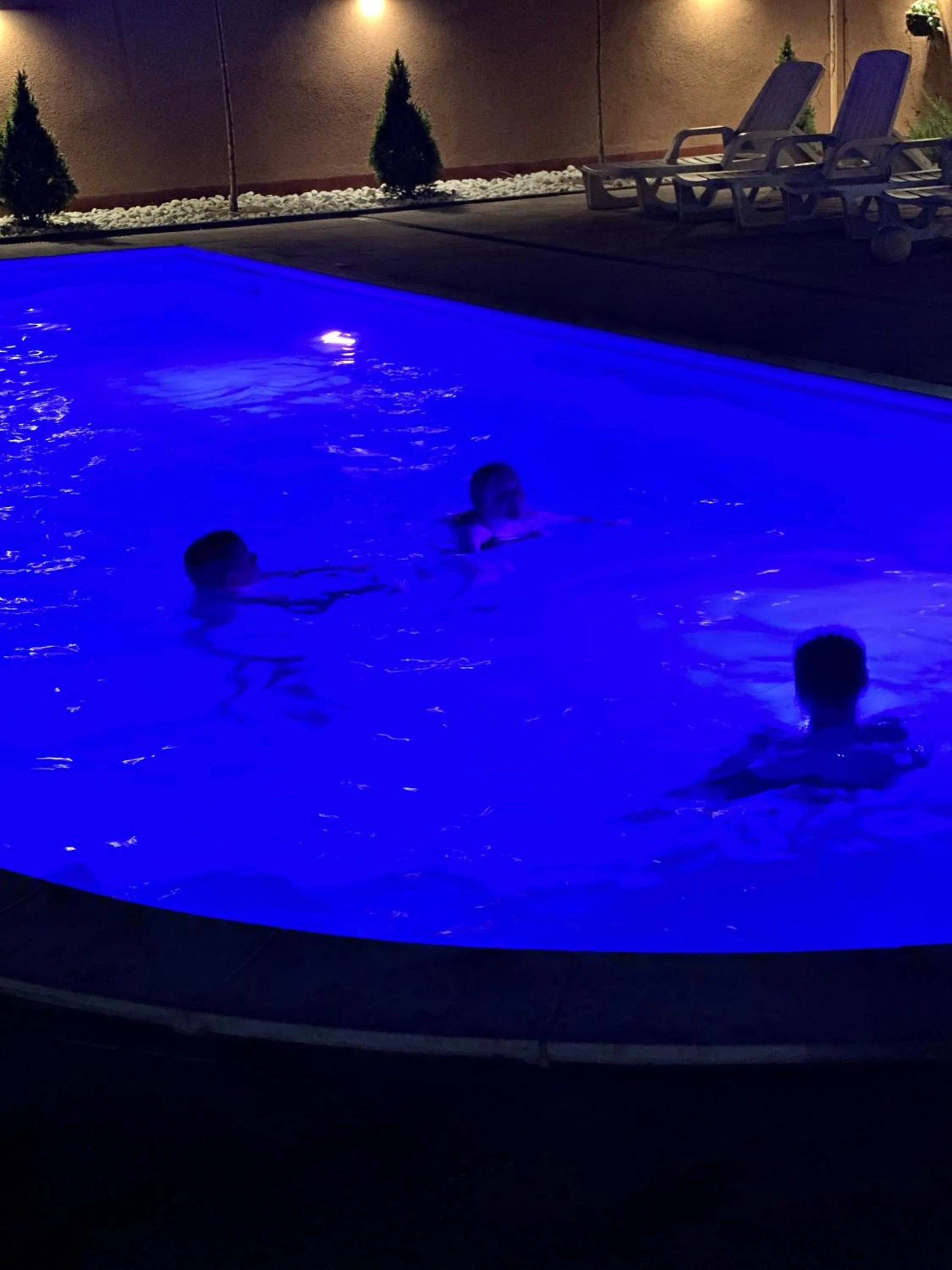 Swimming pool in Villa Biser Dunava