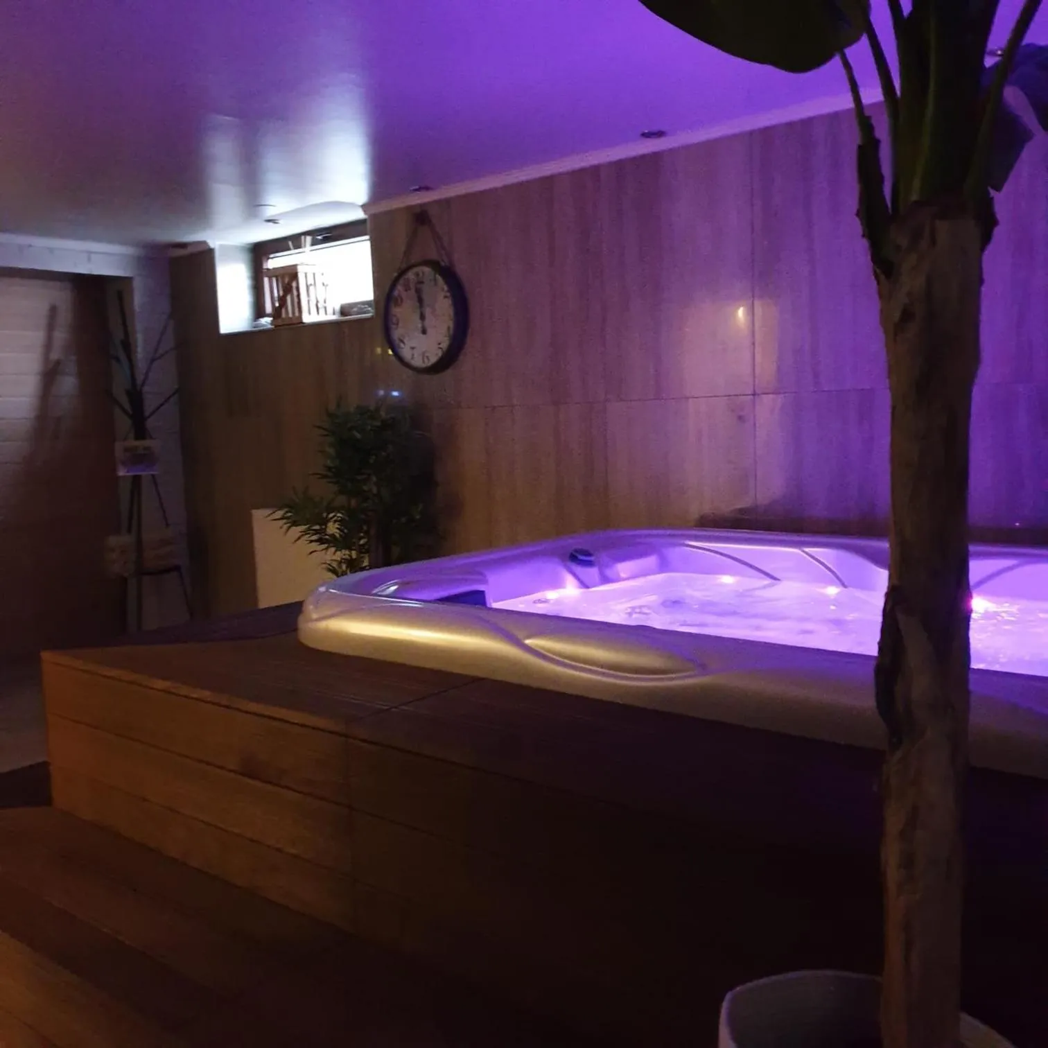Hot Tub in Villa Biser Dunava