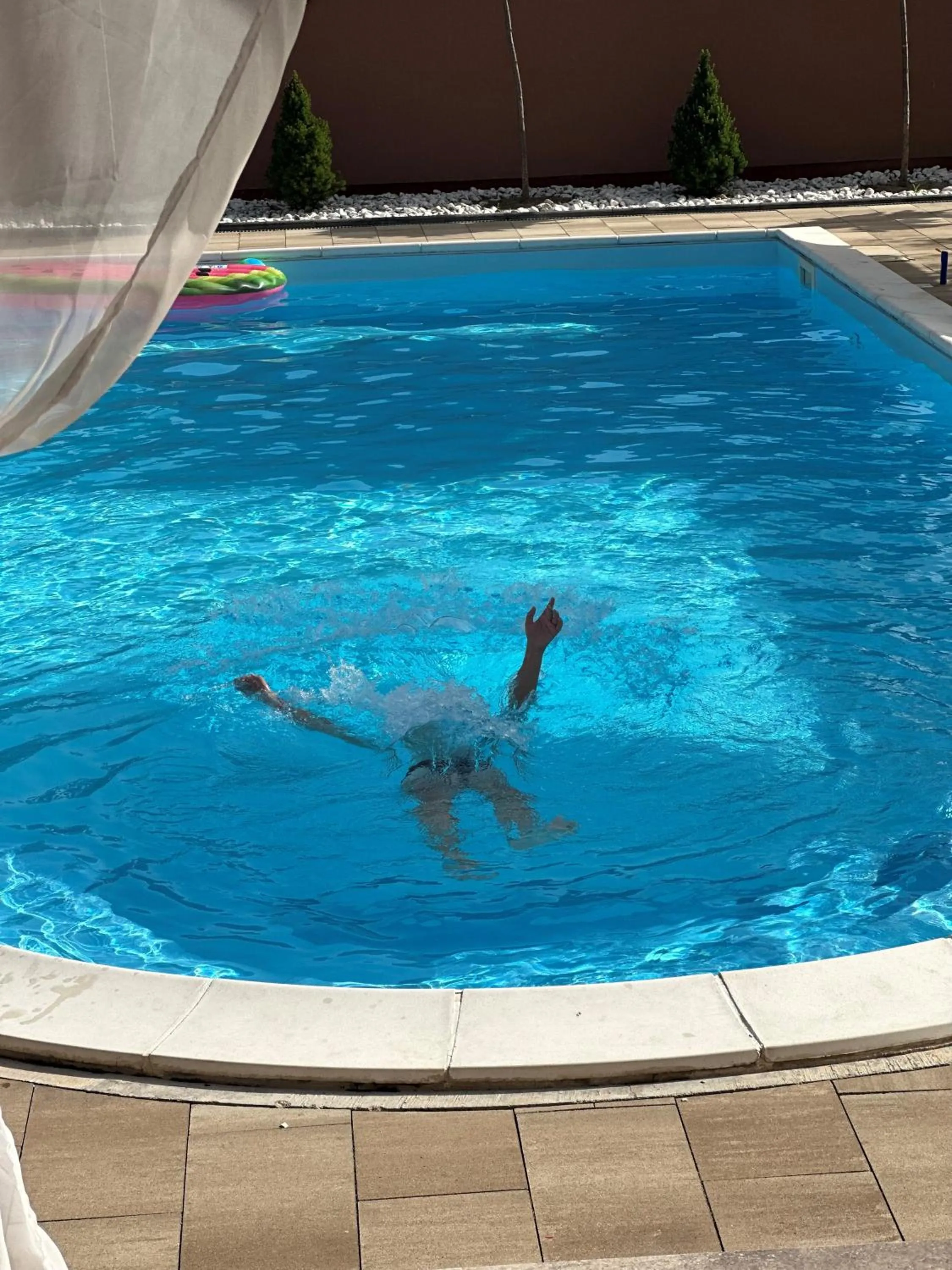 Swimming pool in Villa Biser Dunava