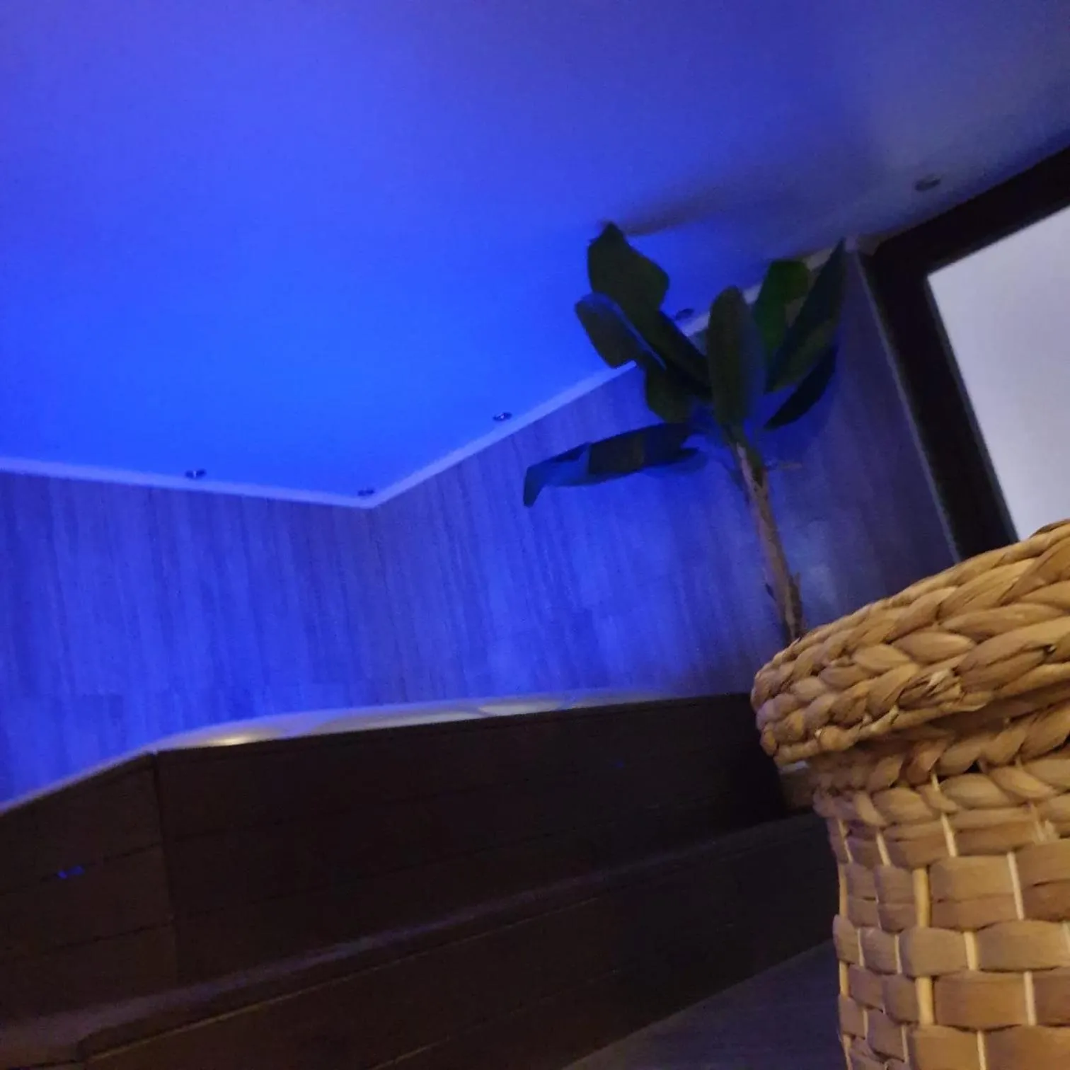 Hot Tub in Villa Biser Dunava