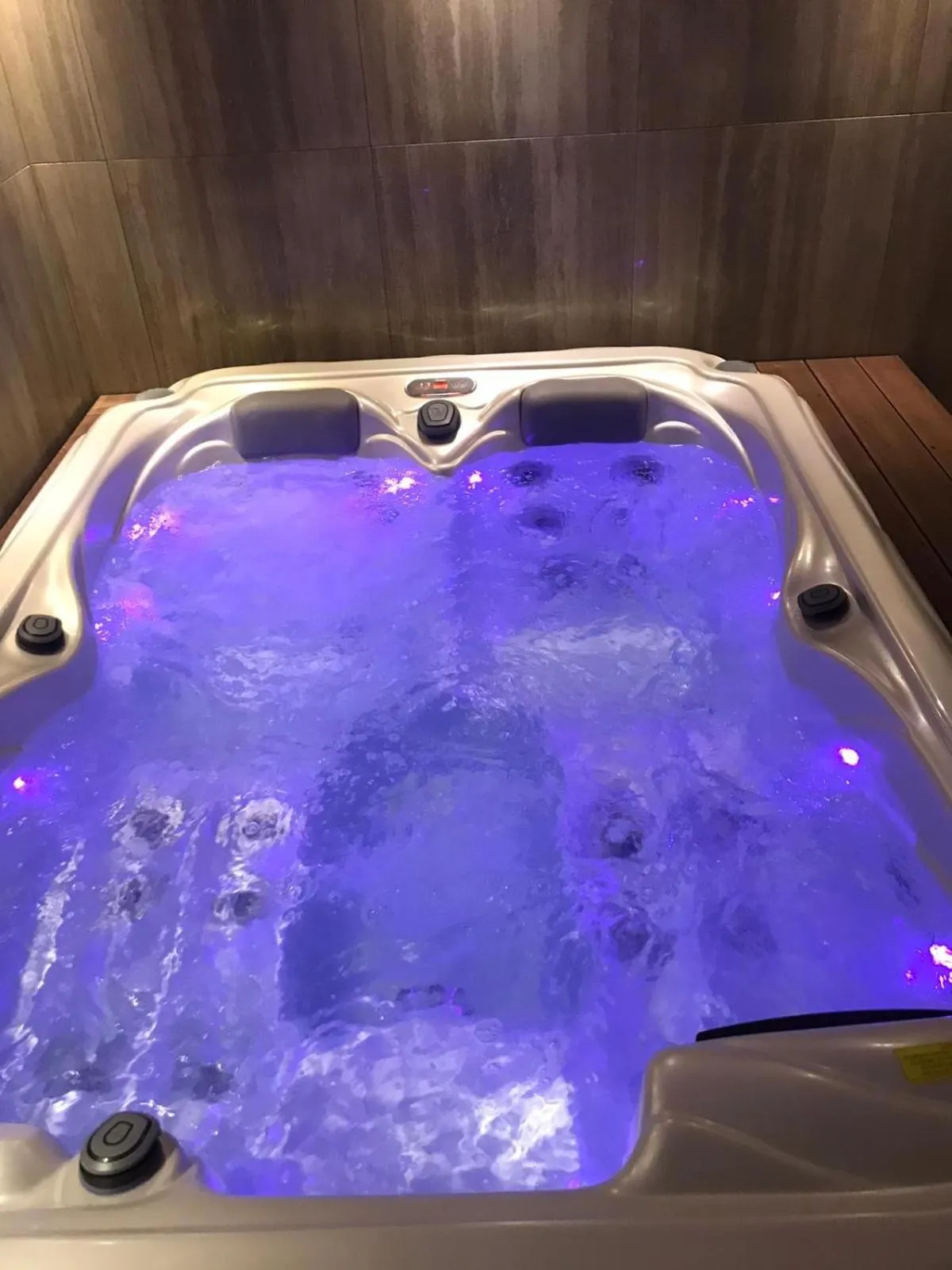 Hot Tub in Villa Biser Dunava