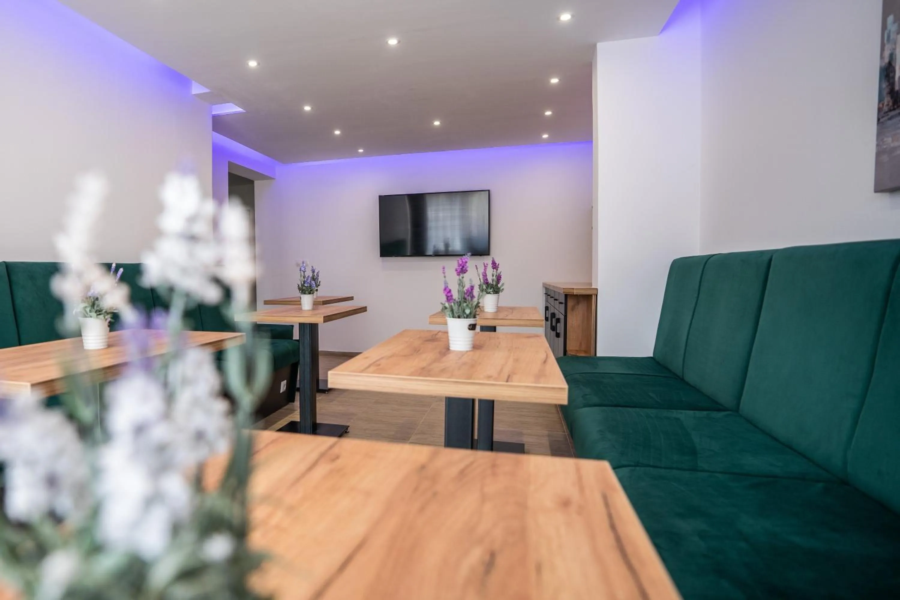 Dining area in Villa Biser Dunava