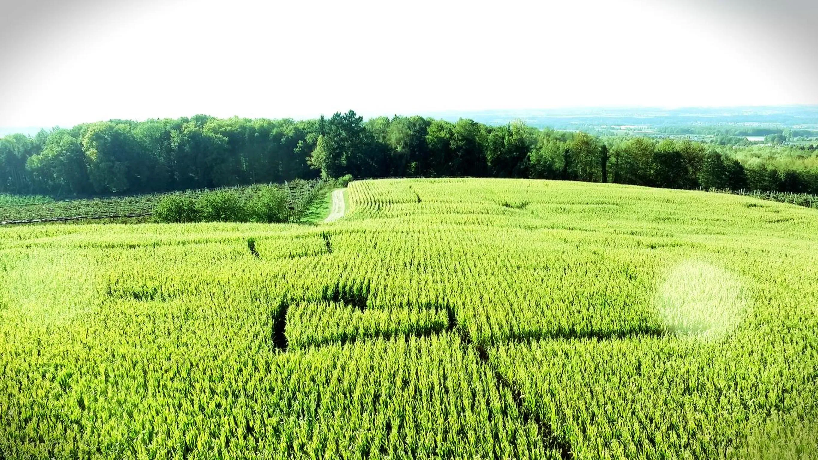 Children play ground in Gut Hügle Erlebnishof