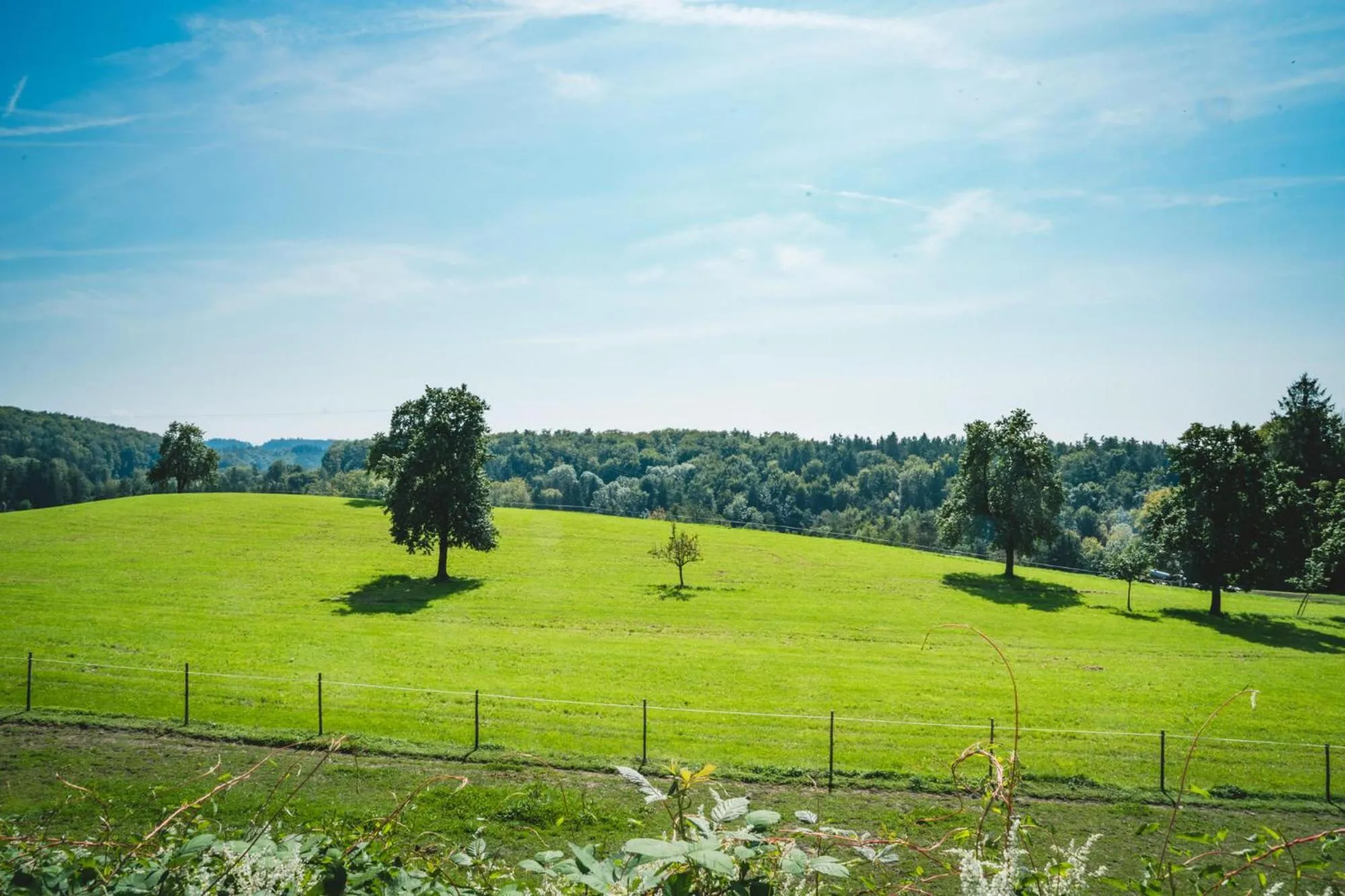 Garden view in Gut Hügle Erlebnishof